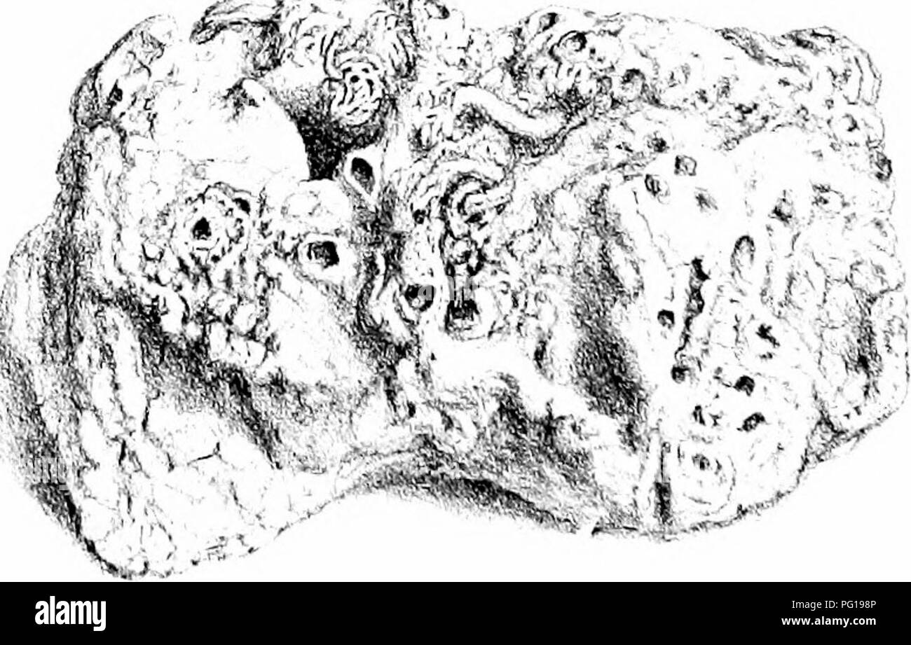 8 9 11 Stockfotos Und Bilder Kaufen Alamy