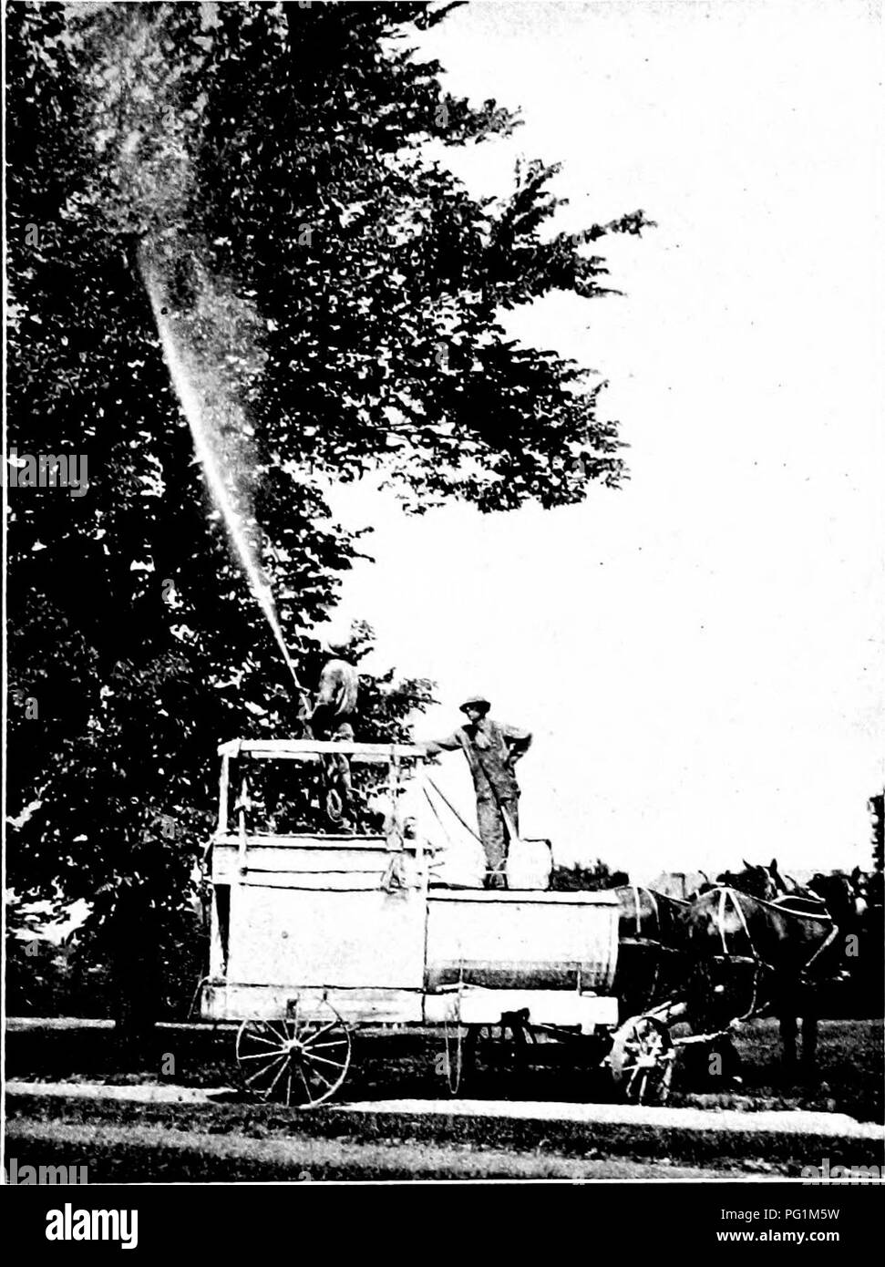 . Schädigende Insekten: Wie zu erkennen und zu steuern. Insekten und Schädlinge. POWER Ol'TFITS 97 recht zufriedenstellend sind, zur Präsentation sind passend zu beweisen, schwer und schwer zu verwalten. In einer Art der Konstruktion ist, dass eine einzige sucli liorse können Arbeitsgeräte Outfit, das dann durch den Bediener viel geführt wird in der Art und Weise von einem Pflug. Power Feldspritzen Power Outfits bestehen im Wesentlichen aus einem Benzinmotor, ein ziemlich schweres Pumpe ausgerichtet auf den Motor oder mit Gürtel und einen großen Tank, das Ganze. Abb. (53. - Ein Benzin power Sprayer. Original.. Bitte beachten Sie, dass diese Bilder aus gescannten Seite extrahiert werden Stockfoto