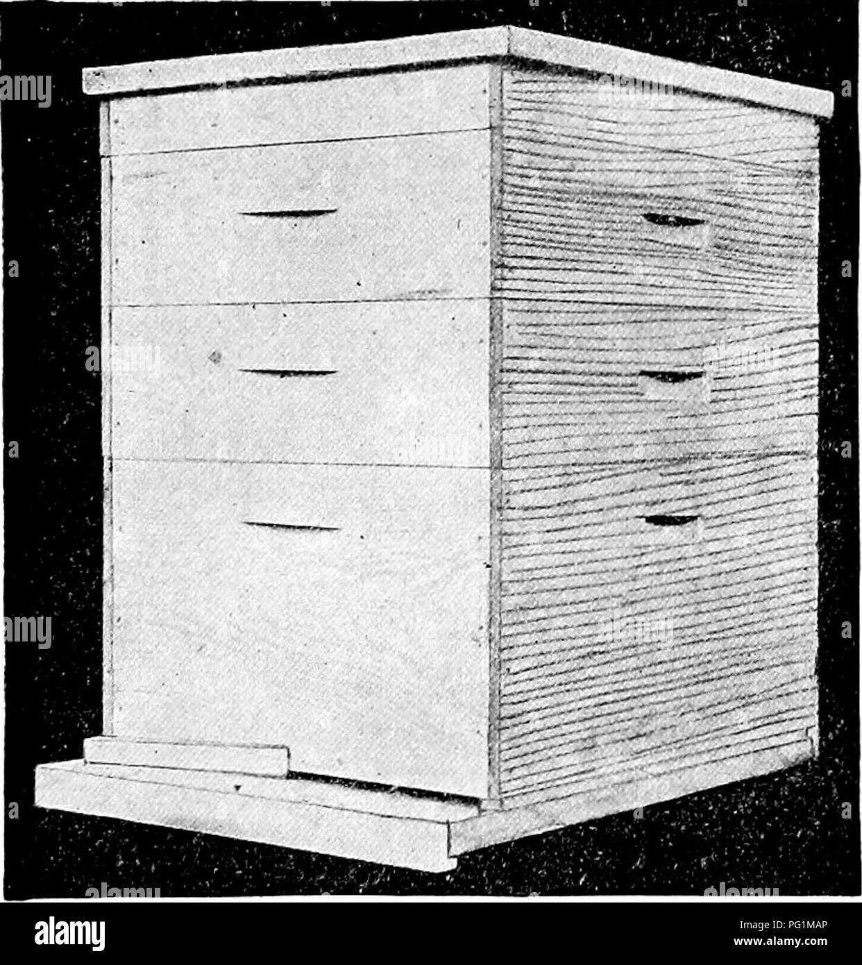 . Langstroth auf dem Hive & Amp; Honig Biene. Bienen. Bewegliche - ntAlIE Nesselsucht. 175 mit Dach - Zement. Vor dem Zusammenfügen der Boards, die oben auf der Kappe unserer Quaddeln bilden, die wir machen, zu beiden Seiten der Gelenke, eine abgerundete Nut, drei Achtel eines Zoll breit und ein Viertel eines Zoll tief, in dem der Regen - Wasser läuft, anstatt innen undicht. Jlr. McCord, Ox-Ford, 0. die Abdeckungen von liis Nesselsucht Wasser-dicht, durch Abdeckung - Sie ing" "Ith starke Musselin, heftete sich mit einem Streifen genagelt. Abb. S 4. TKI - ZUSTAND HIVEj mit flachem Deckel und zwei SUPEES. An den Kanten und gründlich lackiert. Herr G. Stockfoto