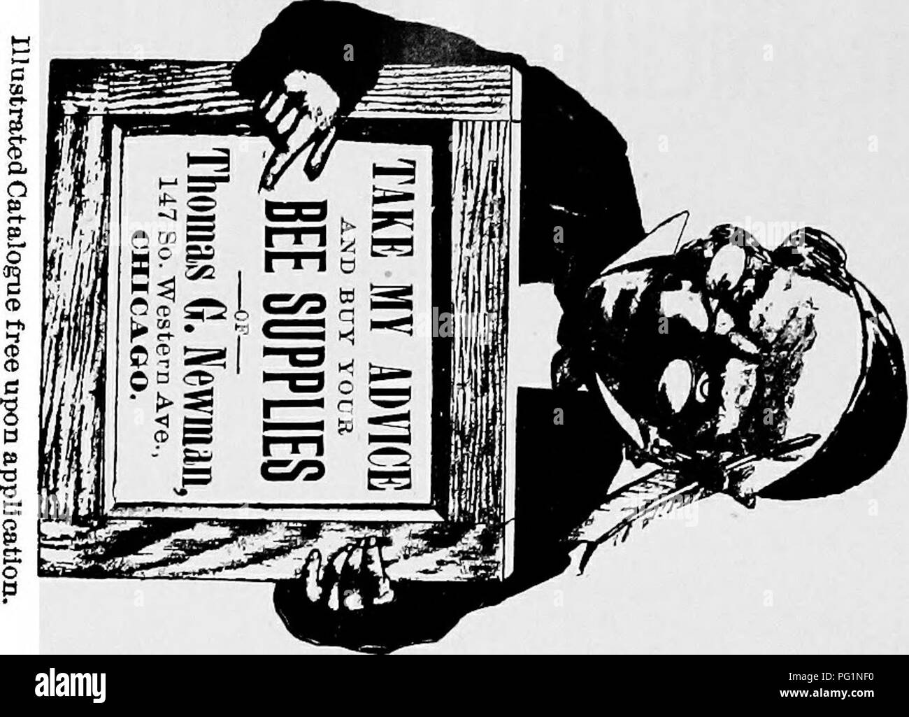 . Die Biene - der Keeper Guide: oder Handbuch der Imkerei. Biene Kultur; Bienen. Finden Sie in der gegenüberliegenden Seite. Bitte beachten Sie, dass diese Bilder sind von der gescannten Seite Bilder, die digital für die Lesbarkeit verbessert haben mögen - Färbung und Aussehen dieser Abbildungen können nicht perfekt dem Original ähneln. extrahiert. Koch, Albert John, 1842-1916. Chicago, Illinois: George W. York &Amp; Co. Stockfoto