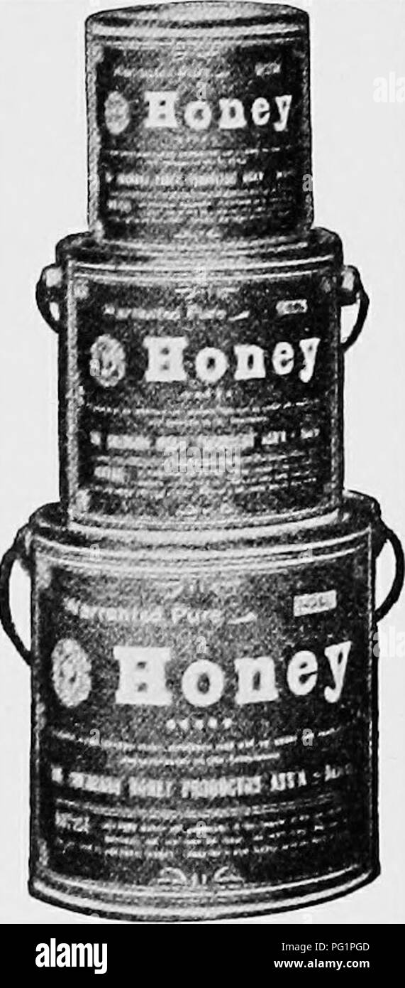 . Langstroth auf dem Hive und Honig-Biene. Bienen. 522 HONIG HANDHABUNG. Der größte Teil der Ernte des Jahres über 24.000 lbs., war in diesem Paket verkauft, bei 23 Cent pro Eimer, oder etwa 9 Cent pro Pfund. Einige unserer Leser werden sich fragen, warum wir nicht unsere Flitterwochen in diesen Eimer von der an die erste Stelle zu setzen, anstatt es in Fässer. Wir tun dies, weil wir nicht wissen, was pro-Teil jeder Größe wird retjuired durch den Handel; denn Honig in kleinen Dosen oeeuj^n zu viel Raum, und so ist es nicht. Abb. 226. Die FEICTION-TOP HONIG EIMER. sich leicht aus dem Weg bewegt; und vor allem, weil wir Stockfoto