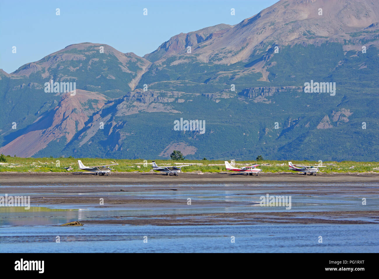 Flugzeuge bis auf einem entfernten Ufer auf Hallo Bay im Katmai National Park in Alaska gefüttert Stockfoto