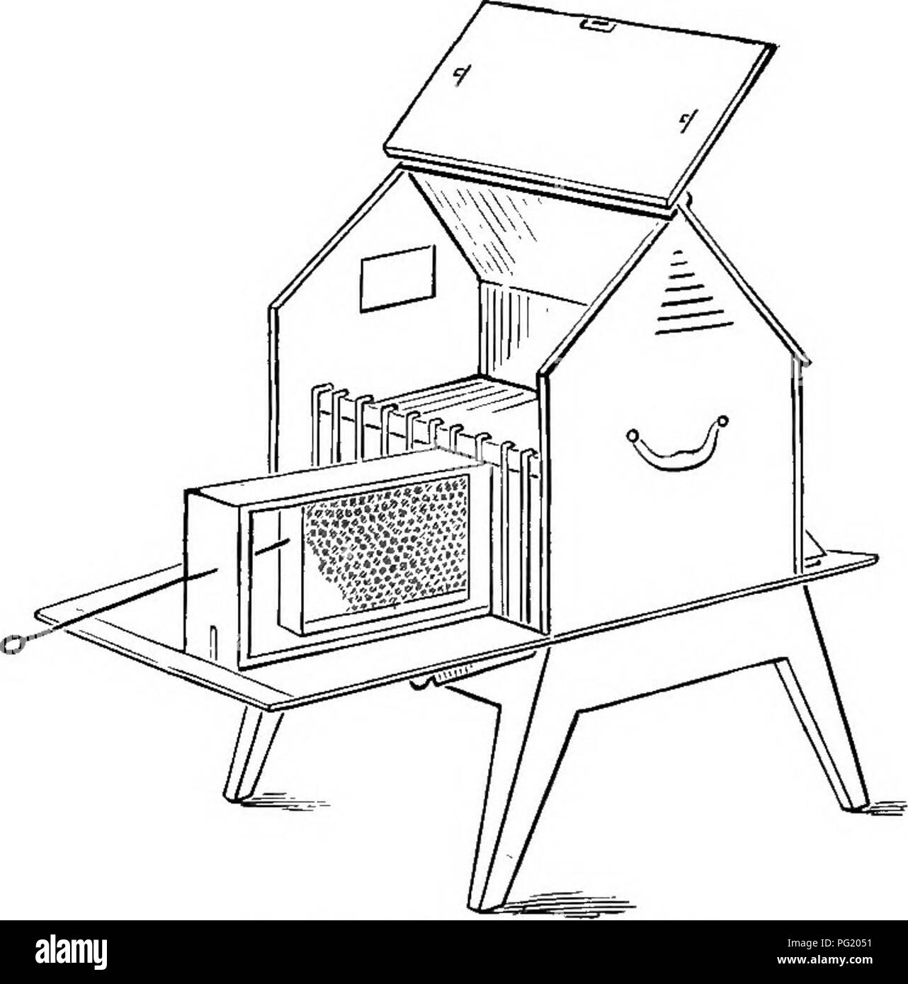 Dieses Bild stammt aus einem Leitfaden zur Bienenzucht, der Einblicke in die Bewirtschaftung von Bienenstöcken und den sicheren Umgang mit Bienen bietet. Es erklärt die wesentlichen Praktiken für Imker, einschließlich der Kontrolle von Bienenstöcken, der Regulierung von Königszellen und der Erhaltung der Bienengesundheit. Die Abbildung verdeutlicht die Bedeutung der sicheren Bienenbewirtschaftung und der Bienenbestandskontrollen für eine erfolgreiche Bienenzucht. Stockfoto