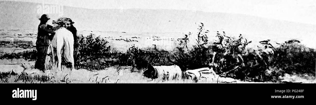 . Durch das Herz von Patagonien. Natürliche Geschichte. Ich '&lt; W. Im^mk-A. Â Â Â Â Â Â ââ' - ( --.- In dem Moment, wo wir ihn gehen lassen, begann er zu sträuben und das Pech - Griffe ist ein Teufel Tattoo auf den Körper der Blechdose zu schlagen. Â Er weg in die Truppe von cargoed Pferde gemacht, und die Geräusche, die er mit sich brachte war zu viel für Ihre Nerven. Sie durcheinandergemischt bis zu ihren Füßen und vier von ihnen brach weg in verschiedene Richtungen. Fünf Minuten später befragten wir einmal mehr eine Szene von verstreut Patronen, Mehl, Haferflocken, Säcke mit Bohnen, Kleidung, Skins stieß mit verzinnten Bestimmungen, und ich weiß nicht was sonst noch. T Stockfoto