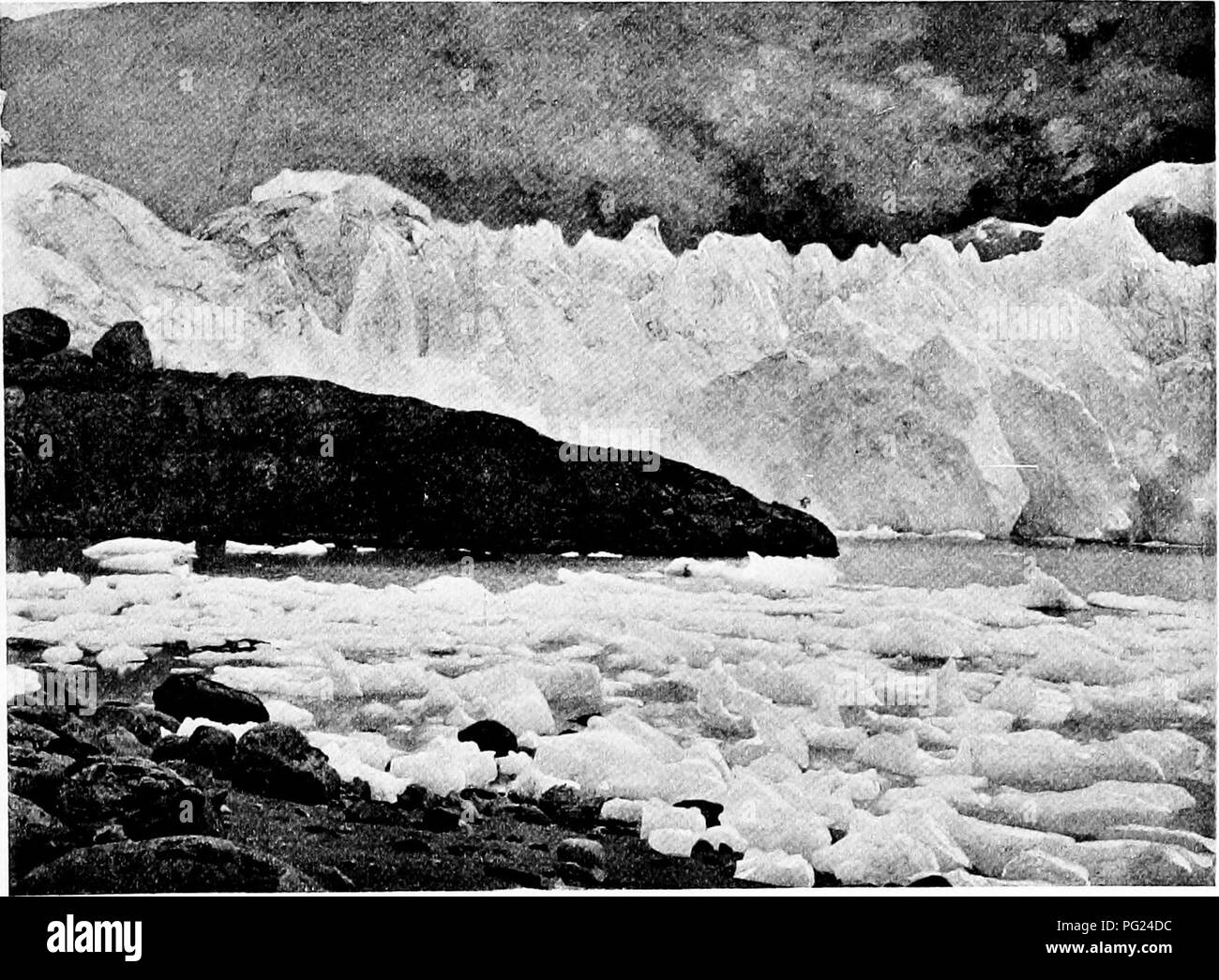 . Durch das Herz von Patagonien. Natural History. Patagonien 3 Latitude, der Kontrast absteigend in die kleinsten Einzelheiten, moun-Tain gegen Plain, Wald im Gegensatz zu Thorn - Peeling, Regen gegen die Sonne. Der Wind ist nur für beide mehr oder weniger, obwohl es viel mehr auf die Pampa zu spüren ist. Der Kontrast reicht bis zu den Küsten. Die Ostküste ist eine baumlose Ebene. Unter den Anden Serie von Downs mit wenigen Buchten Unterschlupf für die Schifffahrt bieten; die westliche Küste, im Gegenteil, hat Nuten und mit Aussparungen und Fjorden, und das wetterdach Vorgewende Webstuhl dunkel mit Wäldern. Grob gesagt, Stockfoto