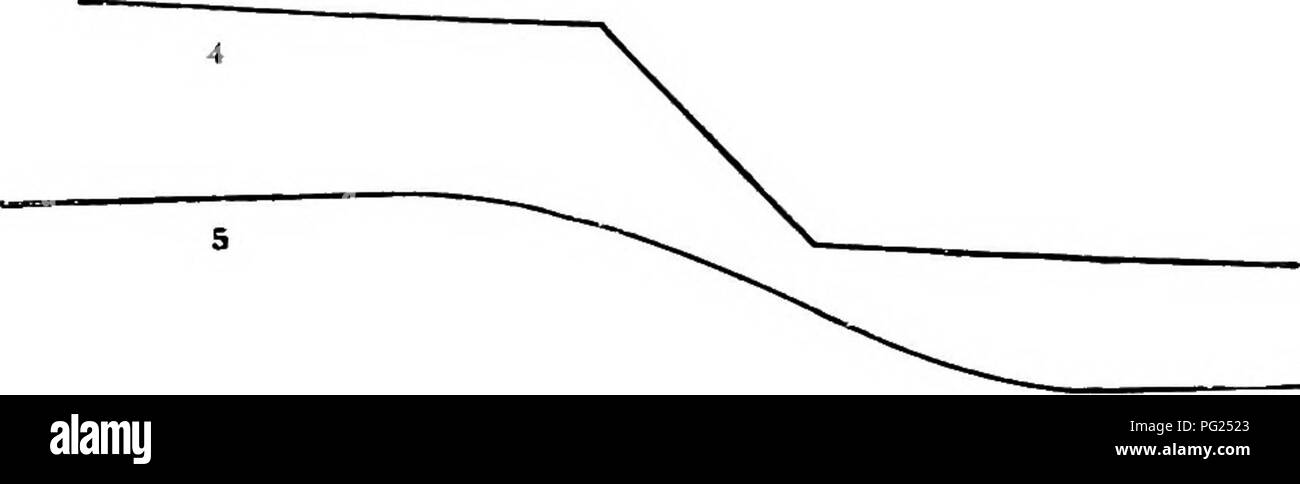 Dieses Handbuch bietet praktische Ratschläge für Gärtner, die sich auf die Behandlung von Rasen, die Landschaftsgestaltung und den Anbau von Blumen, Obst und Gemüse konzentrieren. Es enthält Anweisungen für geneigte Rasenflächen und steile Ufer, die auf effiziente Methoden zur Gestaltung von Gartenelementen ohne große Terrassen hinweisen. Stockfoto