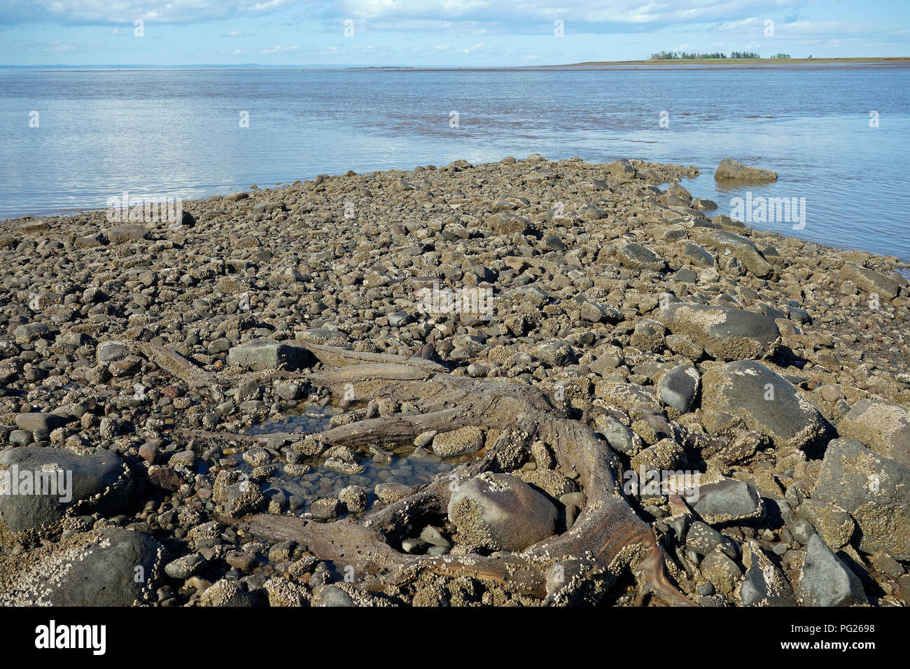 Das minas Basin, Nova Scotia Stockfoto