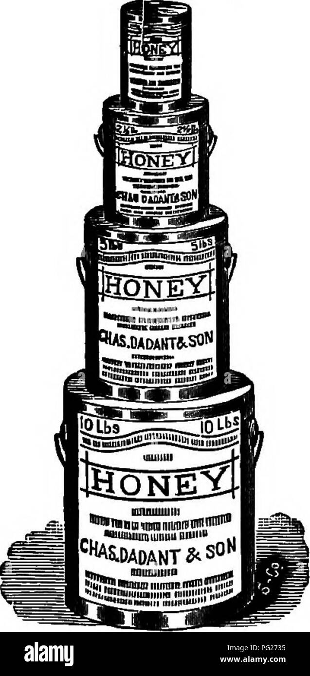 . Langstroth auf dem Hive & Amp; Honig Biene. Bienen. MAEKETING HONIG. 521 tailed an von fünfzehn bis zwanzig Cent, während sechzehn Pfund der besten Zucker für einen Dollar verkauft werden. Doch die Alle Bienenzüchter Menge es zu den Märkten zu Preisen, die so niedrig wie drei Cent reichen. Was fehlt? Die ordnungsgemäße Verteilung. Anstelle von Versand unser Honig in die Städte, wo es teilweise zurück zu unserem Dorf Einzelhändler, nachdem sie durch die Hände der Kommission Männer weitergegeben geliefert werden, und Großhandel Kaufleute, müssen wir Multi-kulti-home Konsum. Wir müssen unsere Nachbarn, unsere Landwirte, unsere Mechaniker zeigen, zu Hause, dass unsere progre Stockfoto