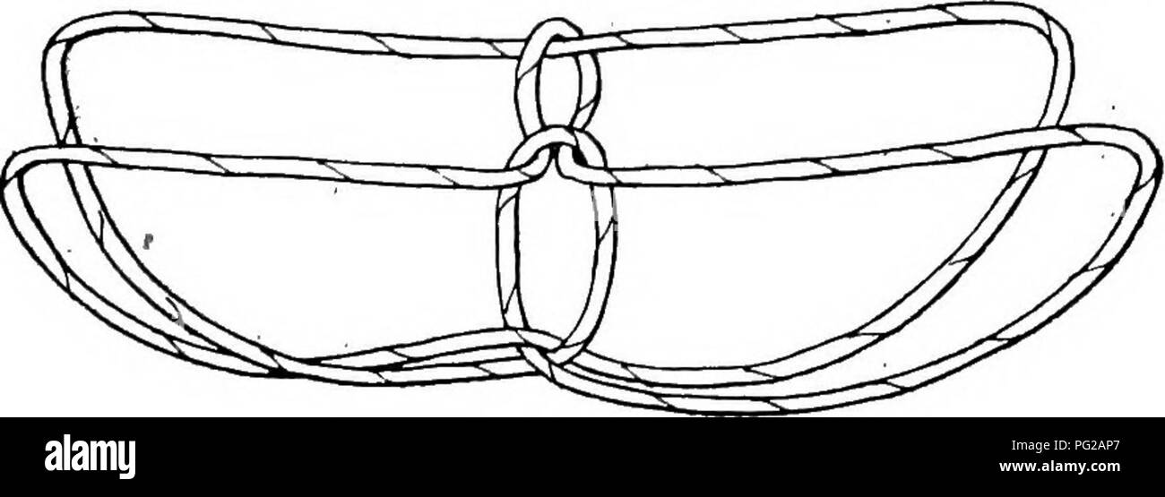 Diese Figur der Canadian Arctic Expedition veranschaulicht die Bewegungen eines Wolverines, wie sie von der Expedition dokumentiert wurden. Es enthält eine Beschreibung der traditionellen Eskimo-Techniken zum Fangen von Wolverines, die wertvolle Einblicke in die arktische Tierwelt und die einheimischen Überlebensmethoden bieten. Stockfoto