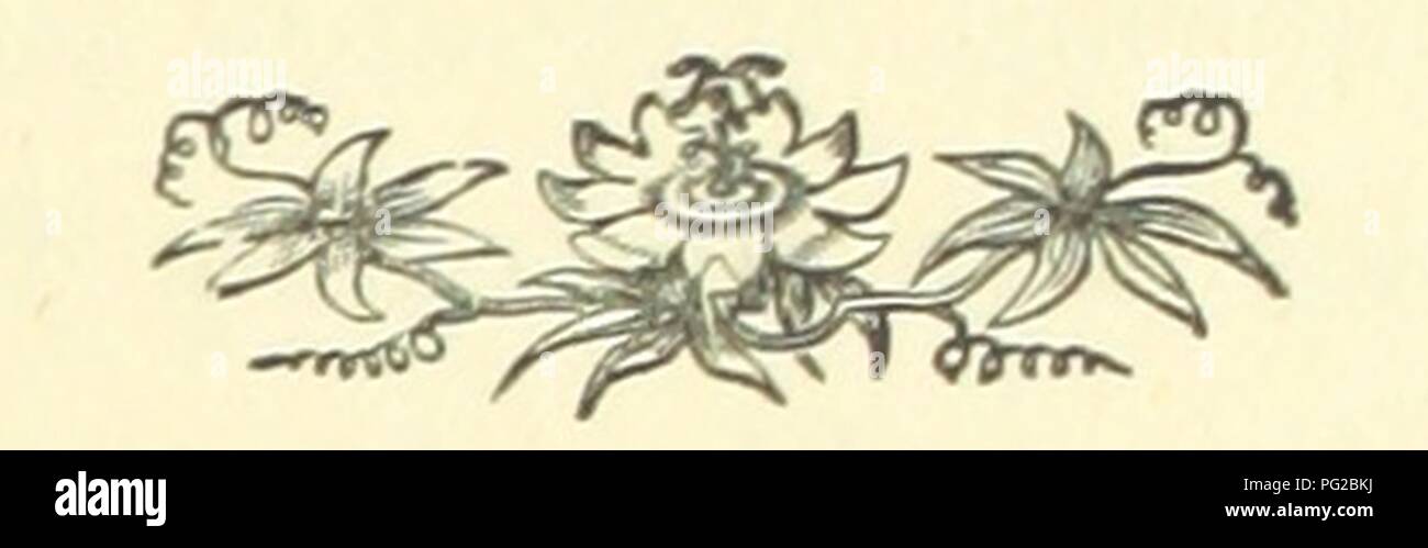 Bild von Seite 147 von 'David Elliott. Ein KORNISCHES Geschichte". Stockfoto