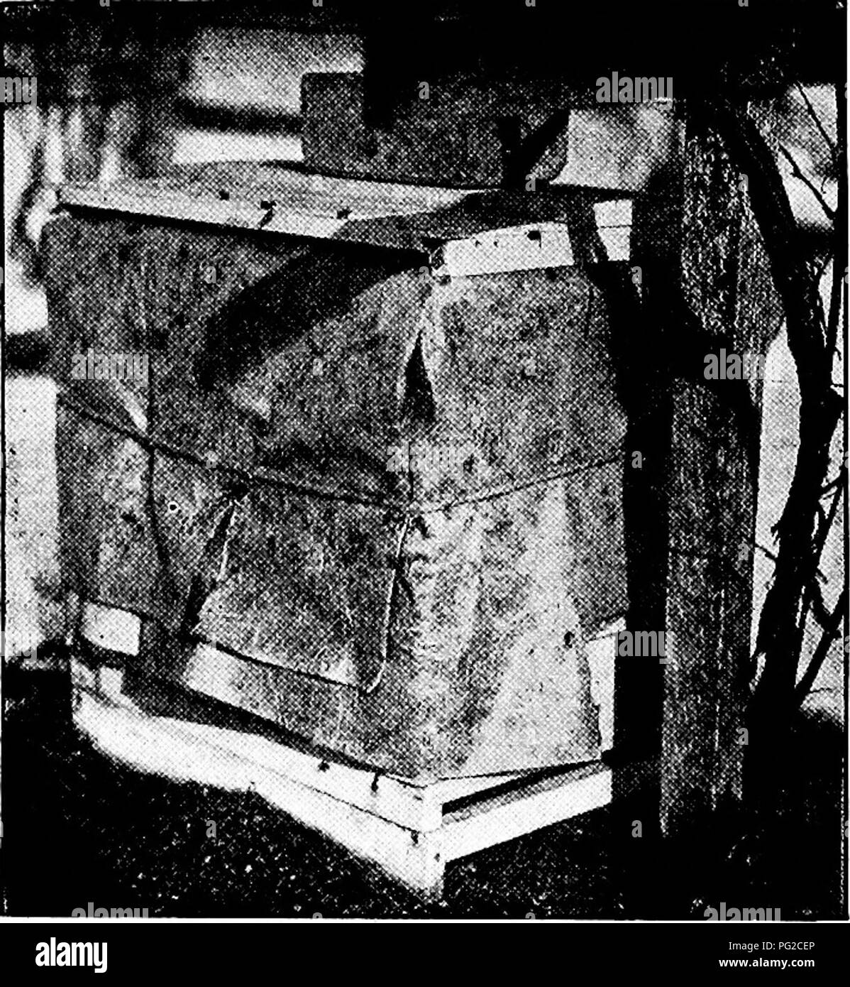 . Die Überwinterung der Bienen. Bienen. 10 ÜBERWINTERUNG BIENEN darstellen. Er kann in der Regel eine ganze Menge dieser erhalten, indem sie der Landwirt oder Miller;, und er kann (und wahrscheinlich wird) kostenlos alle kann er mitnehmen. Bei der Auswahl der Dachdeckung - Papier für den Zweck, vermeiden die Schweröle, wie sie teuer sind und nicht ohne weiteres Fach; und, wenn gefaltet, Sie zum Entfernen der String wird brechen.. Ein Winter bei niade aus zweiter Hand> Verpackung - Papier wie bei Medina verwendet. Eine gefettete manijla Papier, wie fl [Unsere - Plünderungen, gibt sehr gute Ergebnisse; jedes Papier, das Wetter, und doch klappen Sie dann wieder flach im Sommer ein Stockfoto