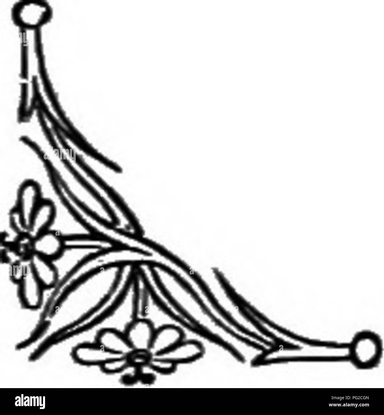 . Die Sprache der Blumen: oder, Floral Embleme von Gedanken, Gefühlen und Empfindungen... Blume Sprache. Der Damascener Rose. Damascener Rose {Rosa Damascena). - Schönheit immer neu. Die Sorten der Damascener Rose sind zahlreich. Sie sind universelle Favoriten. Im Mai fangen Sie an, und fahren Sie weiter bis zum Herbst blühen. In Frankreich einige Sorten blühen zu jeder Jahreszeit des Jahres sind, woher sie aufgerufen werden Rosen de Quatre-Saisons, und deswegen sind die passenden Emblem von Schönheit immer neu. Die monatlichen Rose beginnt zuerst, und weiterhin die neuesten, in England zu blühen, und daher angemessen versorgt Sie mit uns Stockfoto