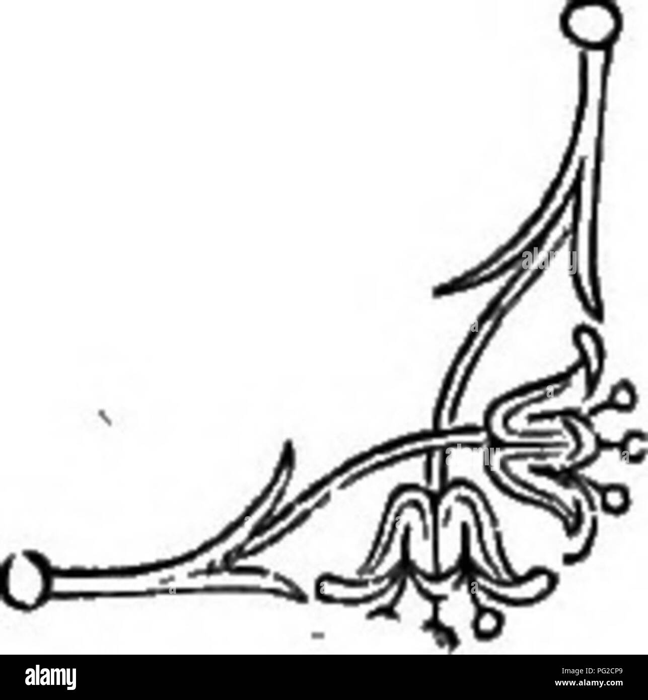 Dieses Bild stammt von Robert Tyas' „die Sprache der Blumen“, die die symbolischen Bedeutungen verschiedener Blumen erforscht. Das Werk verbindet Emotionen und Gefühle mit spezifischen Blumendarstellungen und bietet einen Leitfaden zum Verständnis der kulturellen Bedeutung von Blumen. Es ist ein Schlüsseltext in der Erforschung von Blumensymbolismus und Blumenemblemen. Stockfoto