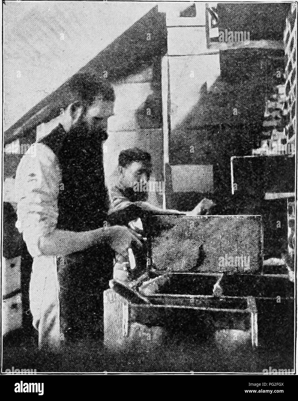 . Langstroth auf dem Hive und Honig-Biene. Bienen. Die ERNTE. 467 Können. Es ist in diesem Rahmen, die Kämme nicht abgedeckt sind, und die Abdeckkappen fallen in das Sieb, wo der Honig aus der Kanalisation, in die senken kann. Unser Capping können Soll die Abdeckkappen der zwei Tage "Extrahieren von zu halten. Die Hersteller in der Regel nennen das Anbaugerät" entfernen. Abb. 209. TTNCAPPING und extrahieren. (Prom American Bee Journal.) kann, "weil es beim Entfernen des Stopfens verwendet wird. Wir nennen es lieber "Deckelung", denn es empfängt die cappings. y ist. Die all-metal Extraktoren, verschiedener Marken, sind die Onl Stockfoto