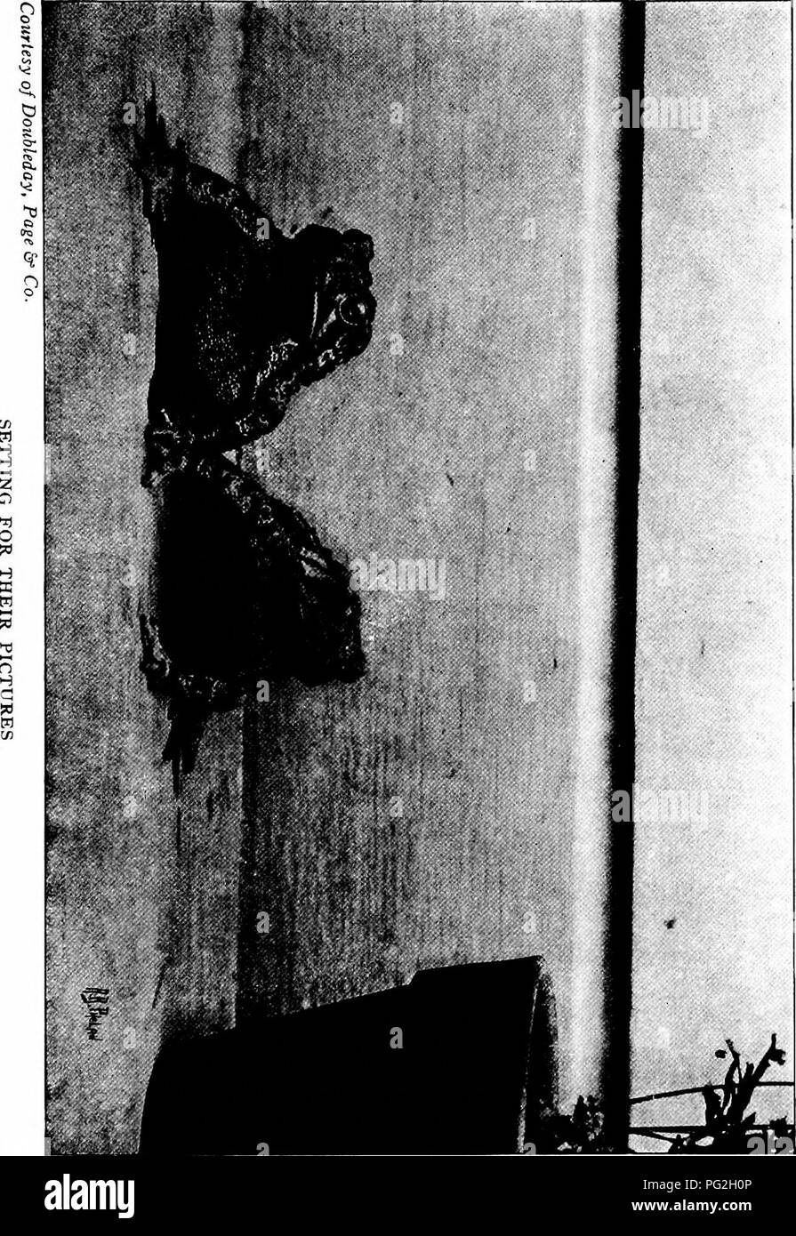 . Die pet-Buch. Haustiere. . Bitte beachten Sie, dass diese Bilder sind von der gescannten Seite Bilder, die digital für die Lesbarkeit verbessert haben mögen - Färbung und Aussehen dieser Abbildungen können nicht perfekt dem Original ähneln. extrahiert. Comstock, Anna Botsford, 1854-1930; Herr, Henry B. ins; Wright, Albert Hazen, 1879-1970 ins; Comstock, Anna Botsford, 1854-1930.ins. Ithaca, N.Y.: Comstock Stockfoto