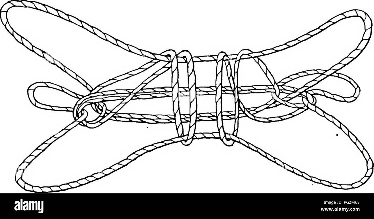 . Bericht der Kanadischen Arktis Expedition 1913-18. Wissenschaftliche Expeditionen. 72 b der Kanadischen Arktis Expedition 1913-18, ABSCHNITT 4. Figuren MIT NUR EINEM LOKALEN VERTEILUNG LIX. Thk Walross=aiviq diese Zahl mit dem "schulterblatts," oder "Kopf eines Caribou identisch ist" (Nr. XLVI) bis auf den letzten Satz. Es war von einem Barrow native gelernt. Eröffnung A. Pass den Daumen über den radialen index Streicher und vom proximalen Seite heben Sie den unteren querliegenden String, dann mit dem Rücken vom proximalen Seite zeichnen sich aus durch die daumenschlaufen die radialen kleinen Finger Streichern. W Stockfoto