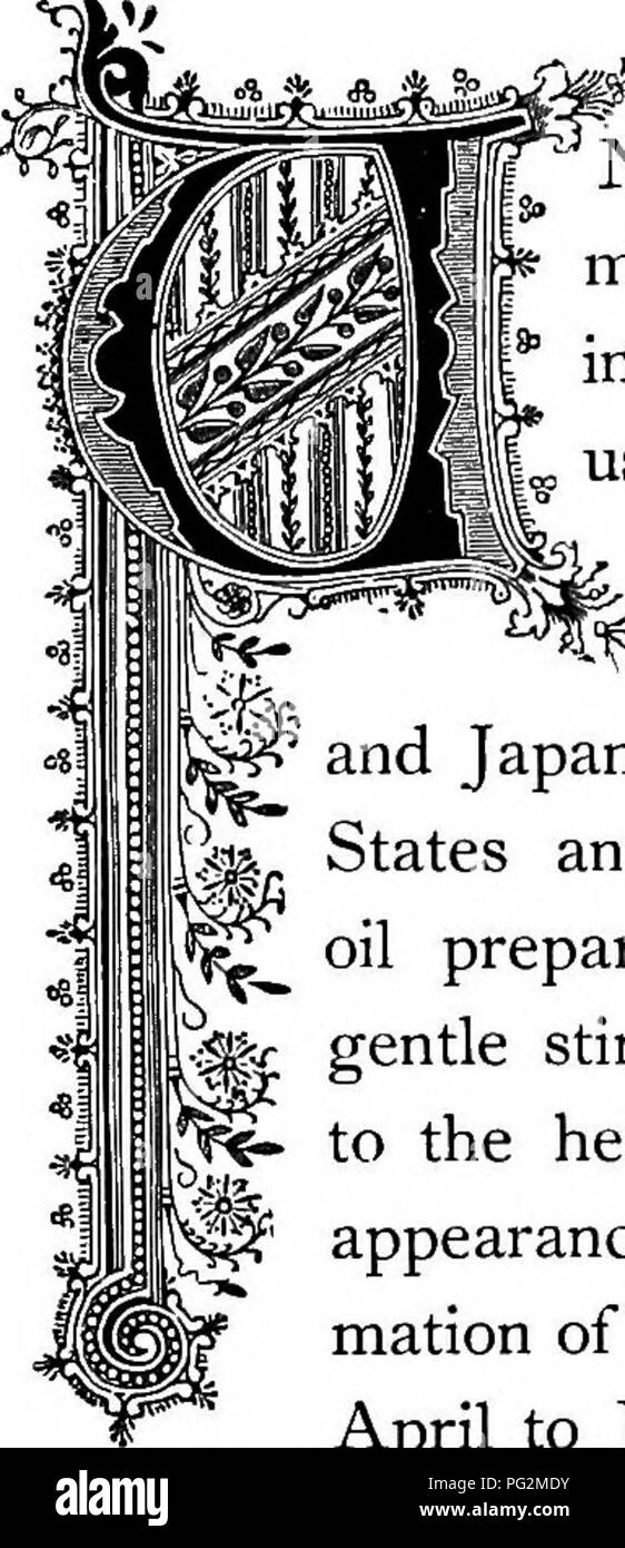 Dieses Werk bietet einen umfassenden Leitfaden zu über 300 Pflanzen, die sich auf ihre Gattungen, Familien und symbolischen Bedeutungen in der Literatur konzentrieren, begleitet von poetischen Referenzen und Illustrationen. Stockfoto