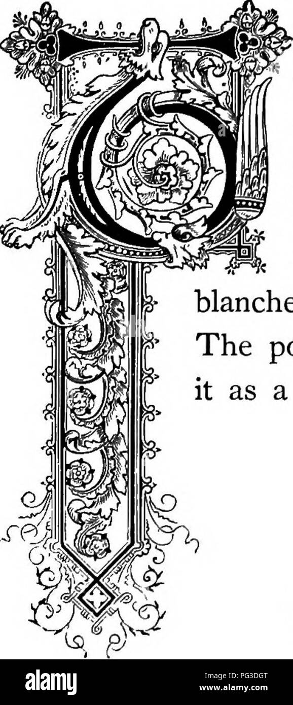 Ein umfangreiches Werk, das die Sprache der Blumen detailliert beschreibt und Definitionen für mehr als 300 Pflanzen, deren Gattungen und Familien bietet. Das Werk verbindet auch jede Pflanze mit literarischen Referenzen und Poesie. Stockfoto
