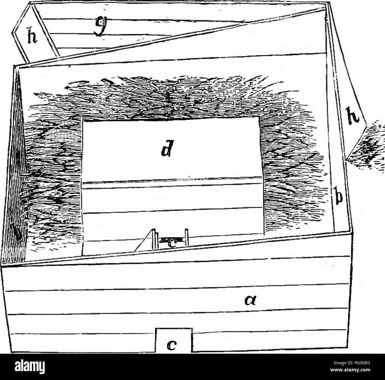 . Die Biene - der Keeper Guide; oder, Handbuch der Imkerei. Bienen. 458 THB BEB-kbbpbe Führer; Konserven ag - ainst Änderungen der Temperatur während des Winters und ermöglicht auch die Bienen zu fliegen, wenn es von einer langen Periode des warmen Wetters notwendig wird. Ich habe also alle unsere Bienen sicher während zwei der katastrophalen Winter gehalten. Dieser Plan gelingt in der Regel gut, aber werden in einem sehr strengen Winter wie die von 1880-81. Wie einige vielleicht möchten Sie versuchen, und möglicherweise zu einem Bild. 254.. Piiek bin ij, - Oriijiiial. ihn annehmen, WERDE ICH beschreiben die Box an unserer Hochschule, die Kosten aber 1 Dollar verwendet, und in der Nähe von st Stockfoto