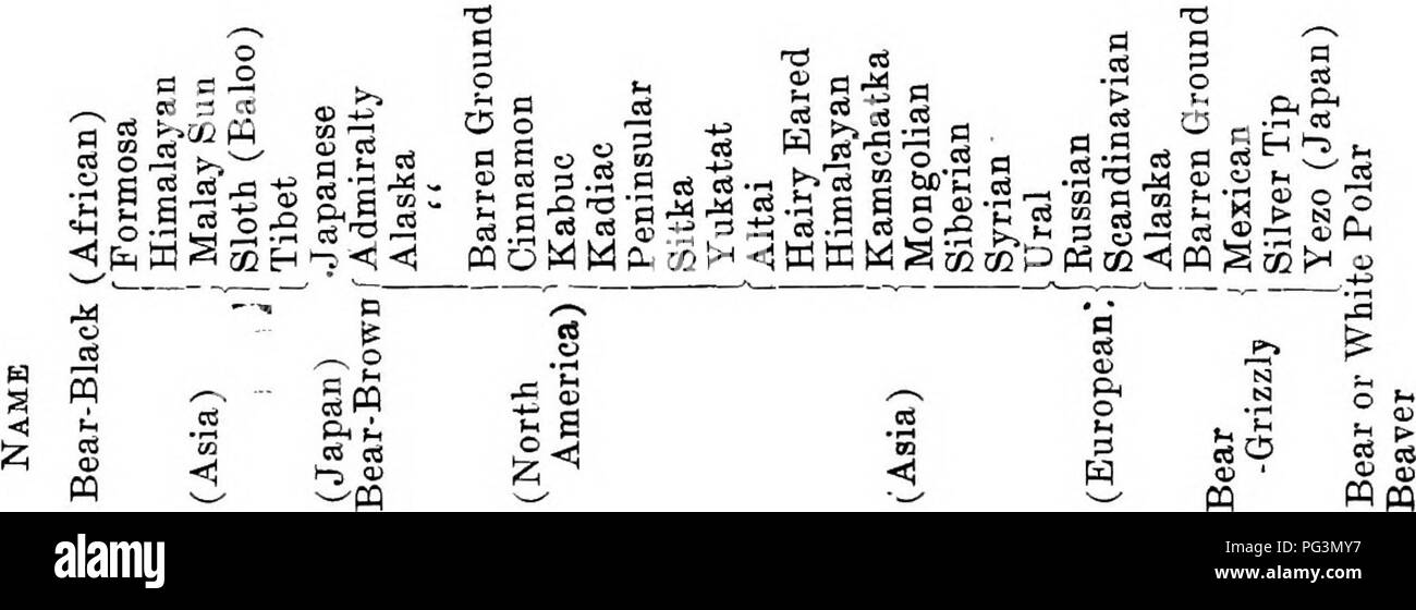 . Die pelzhändler und Fell der Tiere. Pelzhandel; Pelztiere. 100 Alphabetische Liste der Arten, [Â".3 3 t, 2 f - r^  3 2 Ts cii S S ein "C"&gt; 2 3 .2&gt;.^o m CO H^^^ O m DQ S^o^ • a 2,2 o o ABL*^ - ist s. C5pq m e-a • c g o. Bitte beachten Sie, dass diese Bilder sind von der gescannten Seite Bilder, die digital für die Lesbarkeit verbessert haben mögen - Färbung und Aussehen dieser Abbildungen können nicht perfekt dem Original ähneln. extrahiert. Petersen, Marcus, 1854 -. Buffalo, N.Y., Hammond drücken Sie Stockfoto