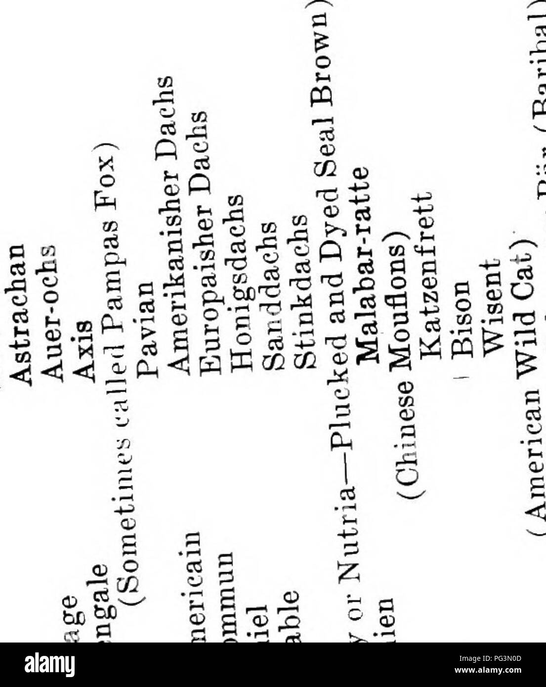 . Die pelzhändler und Fell der Tiere. Pelzhandel; Pelztiere. 74 Pelzhändler Lexikon. ist "0" +3 o-B Â® rt d d Fl Fl w5K S rt o fl^P ^G^ Shh^a;) n •*I*.2 60 So 'a^na ist 555 o5oooo o o o S o"S zu OQ m g g s o. a:) Mi1=? G S^Â" g=J-s e&lt;. eine bIJ N O 03 5 m m n-2 o03 z n 3 g P&lt;;;;;;;; i^3 O 1 Sm: &lt;&lt; O 02 o m R - s'fl o o^^ ^.^ 5. S-H ^-^. tj c6w P tn CS • § "S IST. ,. W "3*S^^ mmmmmm 3 mm i.l aoooooooo 03 * j02 2 = Â"; g5 60 0 P 3 2 e "^C3 • r^P&lt; â ¢^te f^^^ rt m cÂ" o Â© H o cS werden "H O 61* 3 5 S S rmmmm s6 o: "Mm. Bitte nicht Stockfoto