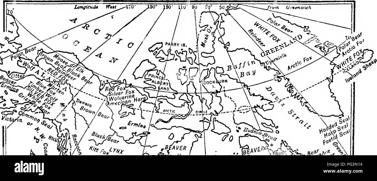 . Die pelzhändler und Fell der Tiere. Pelzhandel; Pelztiere. o h, b/avcr Zi'folar Ha-S!S!! &Lt; Bär^^-------. . , NYlnnlpeg, Hermelin, (lf! CmHIHi. Bitte beachten Sie, dass diese Bilder sind von der gescannten Seite Bilder, die digital für die Lesbarkeit verbessert haben mögen - Färbung und Aussehen dieser Abbildungen können nicht perfekt dem Original ähneln. extrahiert. Petersen, Marcus, 1854 -. Buffalo, N.Y., Hammond drücken Sie Stockfoto