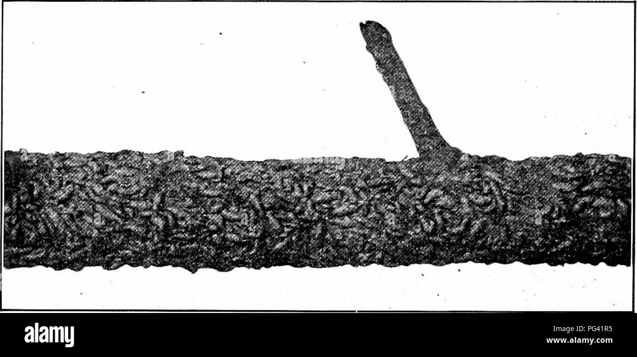 Booksubjectnatures Stockfotos Und Bilder Kaufen Alamy