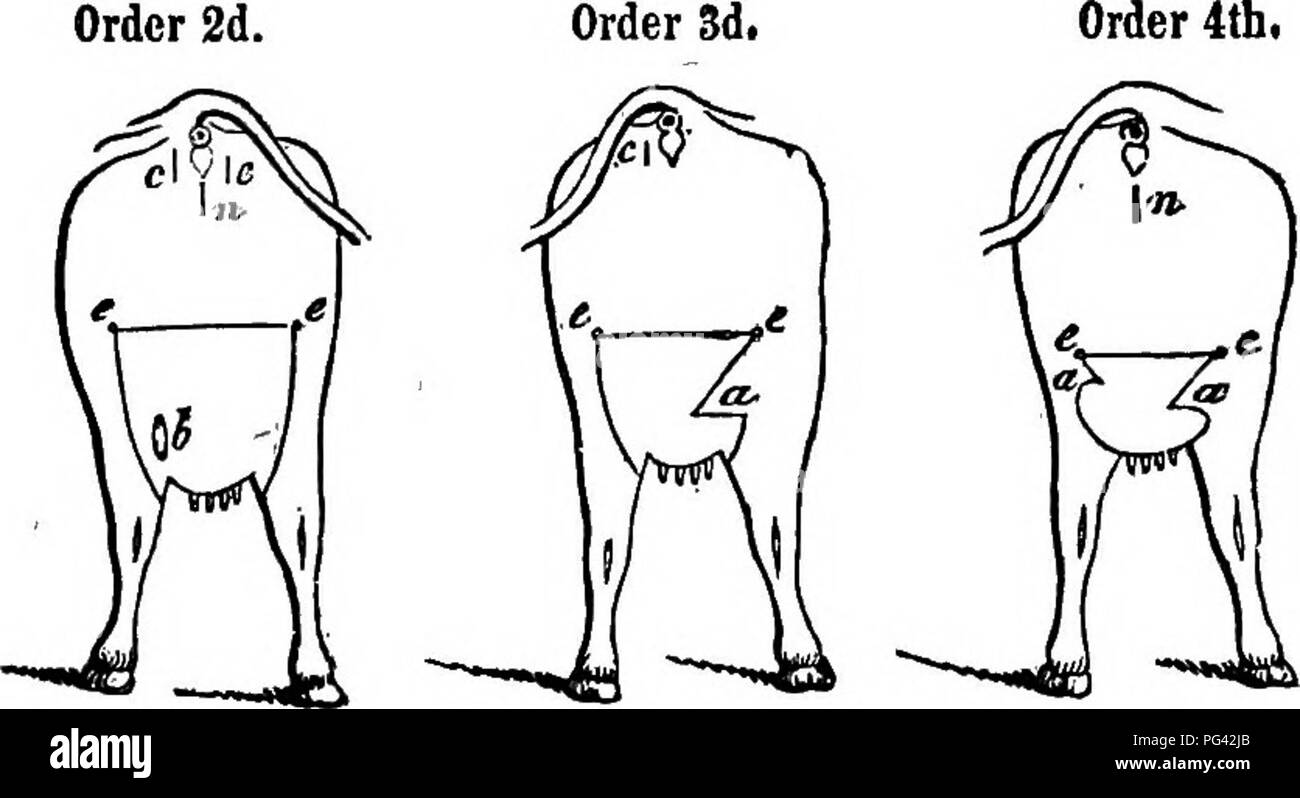 Sie moegen diese milch nicht