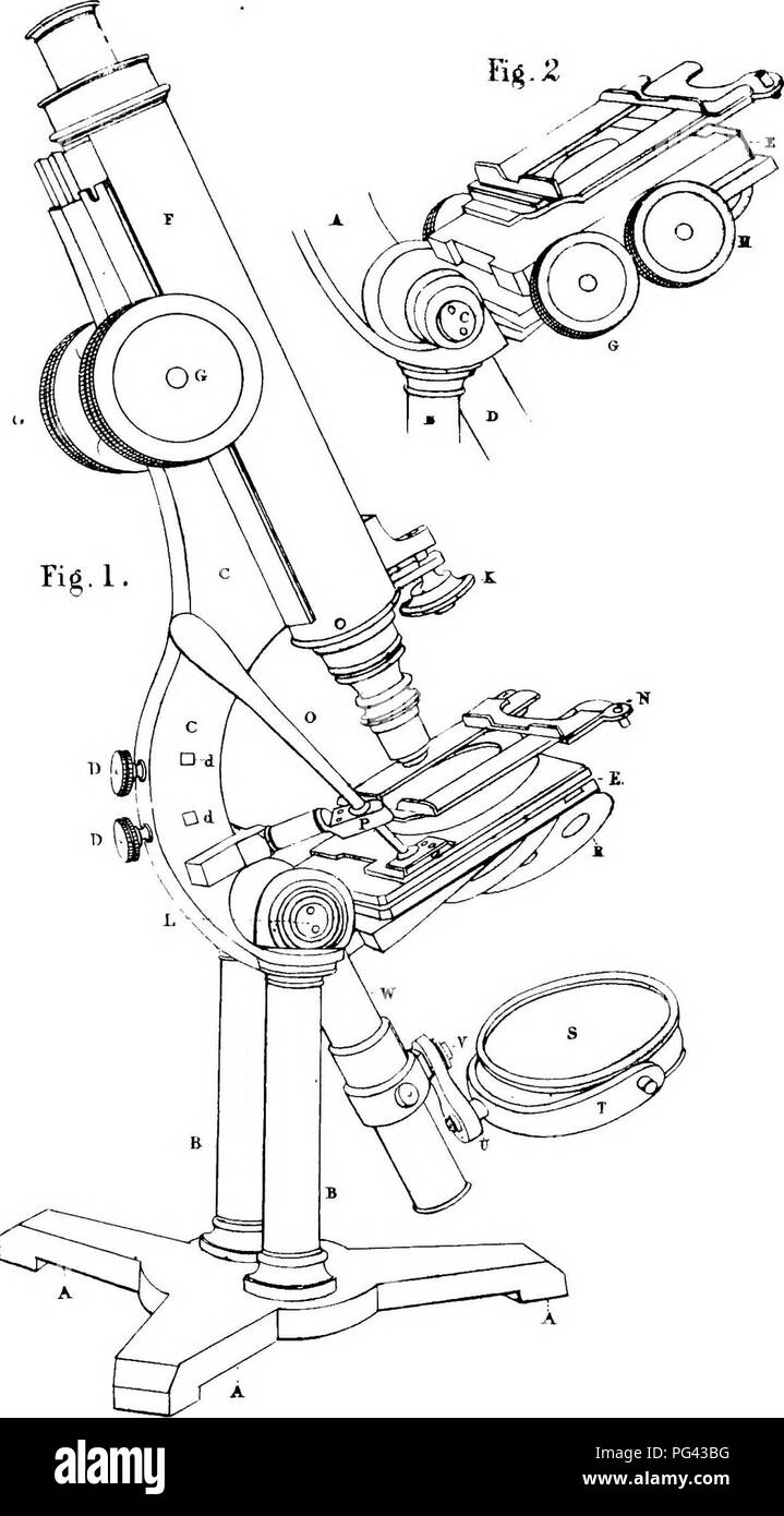 Diese Abhandlung über die Mikroskopie bietet einen umfassenden Leitfaden zur Verwendung von Mikroskopen zur Untersuchung von Tier-, Pflanzen- und Mineralproben. Das Dokument beschreibt die Techniken und Werkzeuge, die bei der mikroskopischen Untersuchung verwendet werden, einschließlich des großen achromatischen Verbindungsmikroskops, ein Schlüsselinstrument für die detaillierte wissenschaftliche Forschung im 19. Jahrhundert. Stockfoto