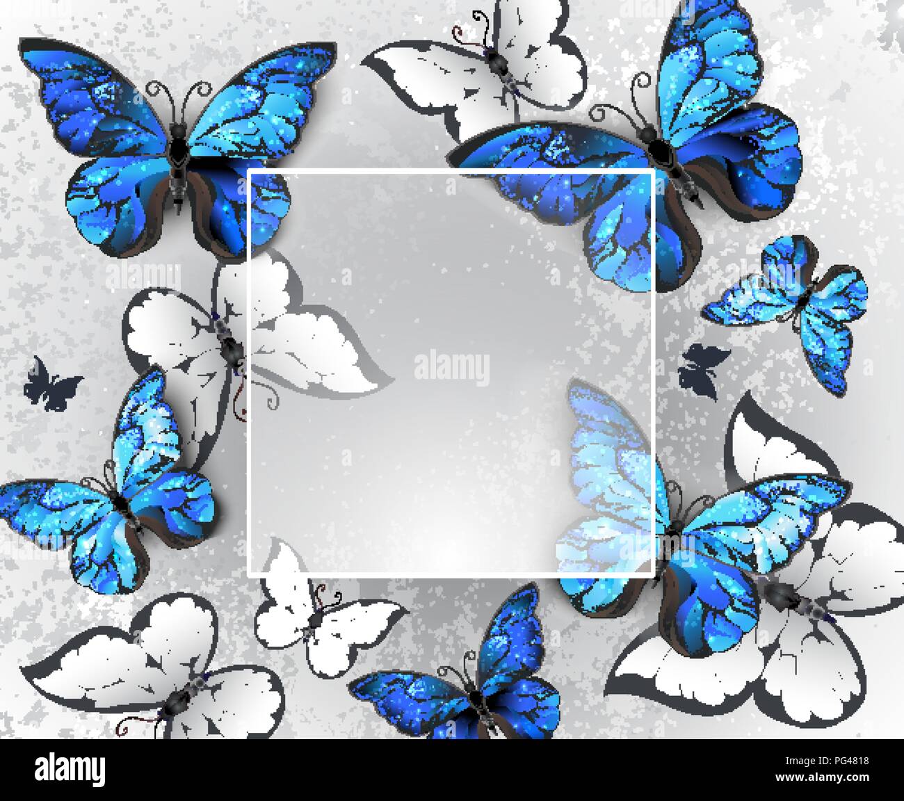 Square Banner auf grauem Hintergrund mit volumetrischen, realistisch blaue und weiße Schmetterlinge. Stock Vektor