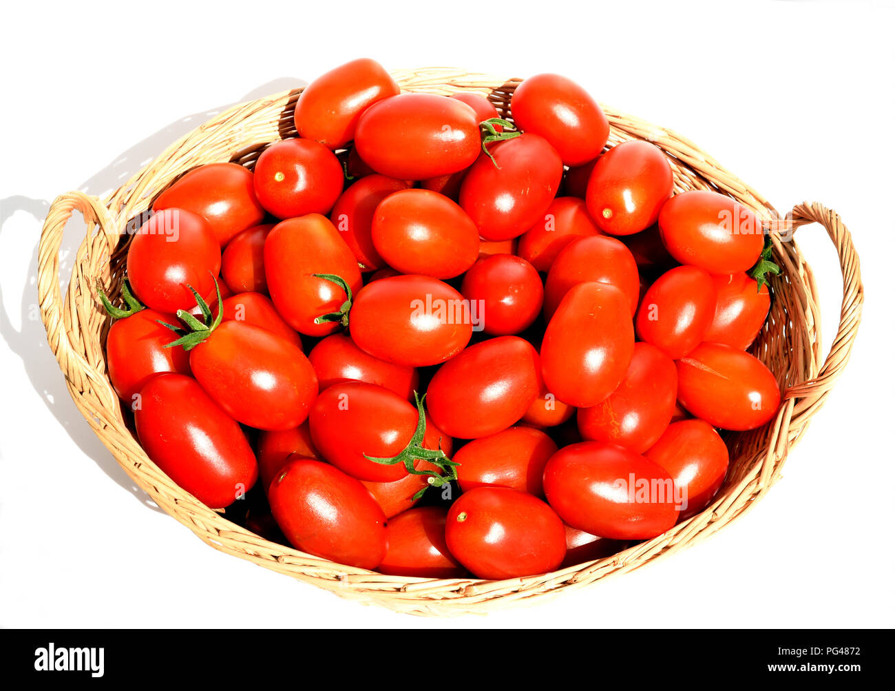 Pflaumentomate, Pflaumen-Buschtomate, Ravello, Tomate, Lycopersicon esculentum, Stockfoto