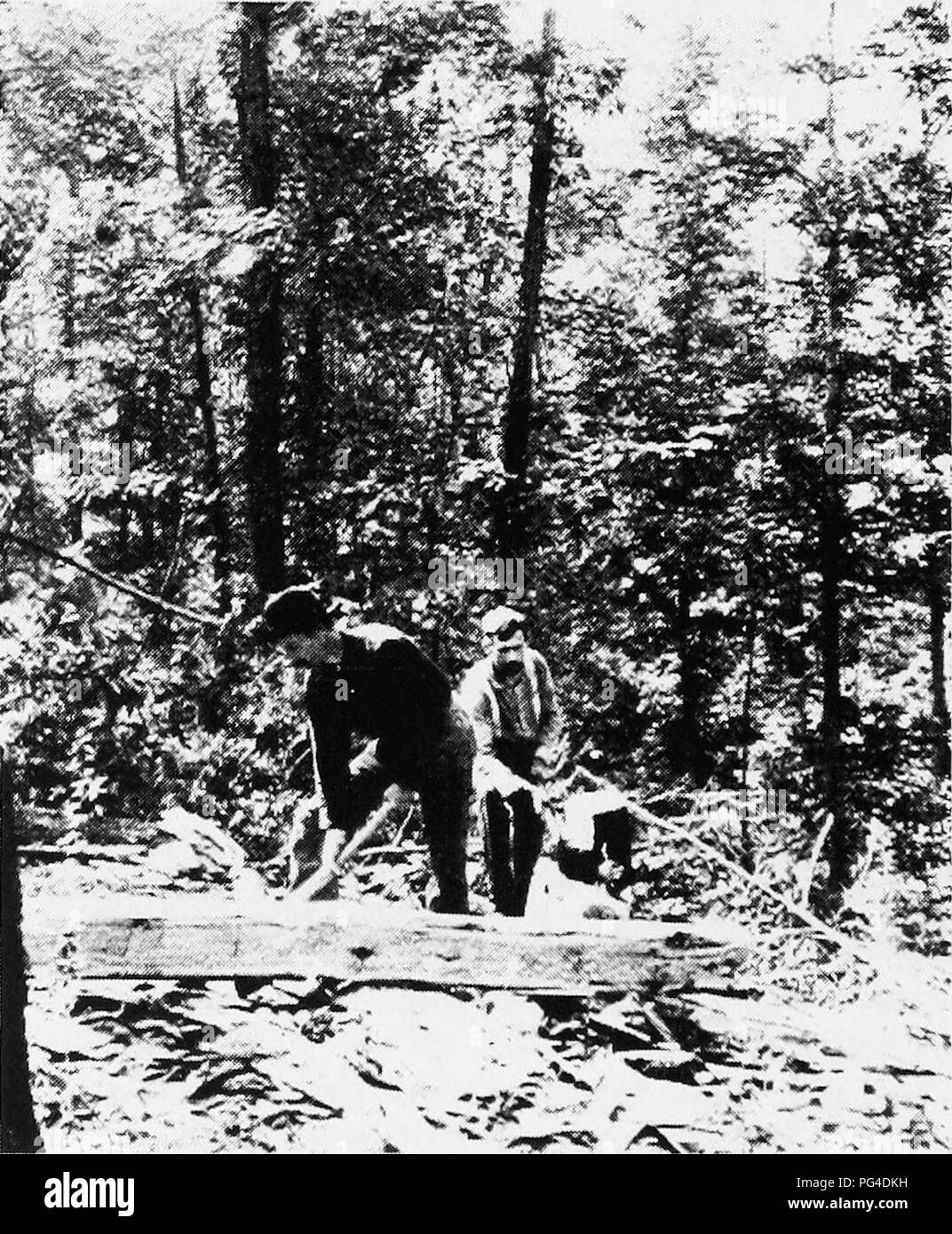 . Agrar- und Forstwirtschaft. Woodlots. Hewing, Riegel in der Woodlot.. Bitte beachten Sie, dass diese Bilder sind von der gescannten Seite Bilder, die digital für die Lesbarkeit verbessert haben mögen - Färbung und Aussehen dieser Abbildungen können nicht perfekt dem Original ähneln. extrahiert. Ferguson, John Arden. New York: John Wiley & Amp; Söhne Stockfoto