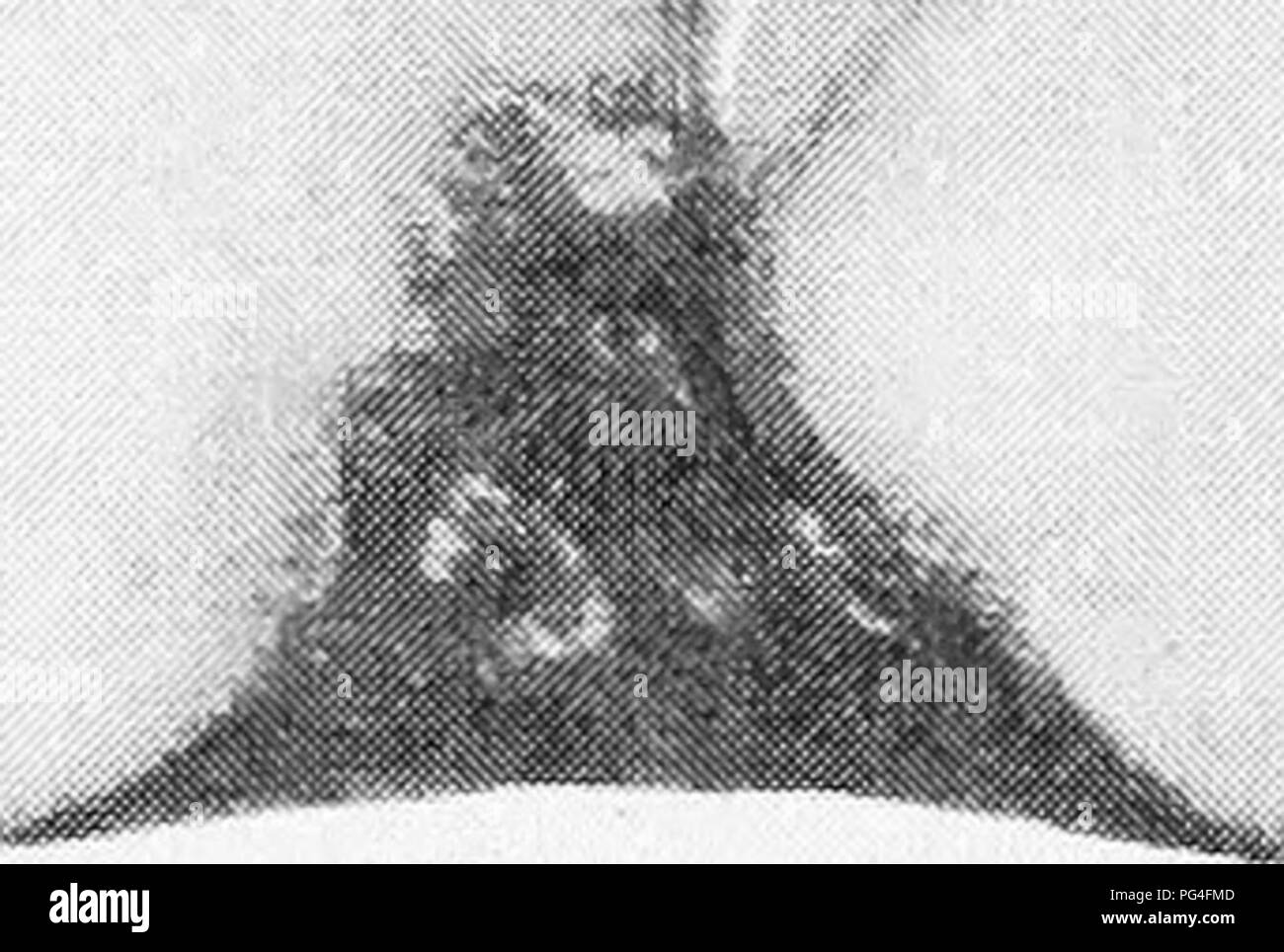 . Die Früchte von Ontario. Obst - Kultur. liche Gesellschaft in lhl 9, und in Frami Teee: Sehr kräftig in die Gewohnheit und die daraus folgenden! Reichlich Träger f;." Es ltows oUIit: auf tlie l'Ara groß auf £ avoral&gt in den Schatten gestellt; Li --'Id-Formular roundisli Oh&gt; spät, sliglitly Kleinere an der Spitze als an der Basis, sehr regelmä- 1 a r; Farbe gelblich, mit matt Rot auf der Sonnenseite spritzte und gestreift und mit tief roten Punkte kleine und deutliche; kurz, drei Viertel eines Zoll langen Stiel, Stout in einem großen rotbraun-ed-Buchse: Kelch sehr groß und offen, mit kurzen segements in einem großen grünen Raum platziert. Fleisch: Crea Stockfoto