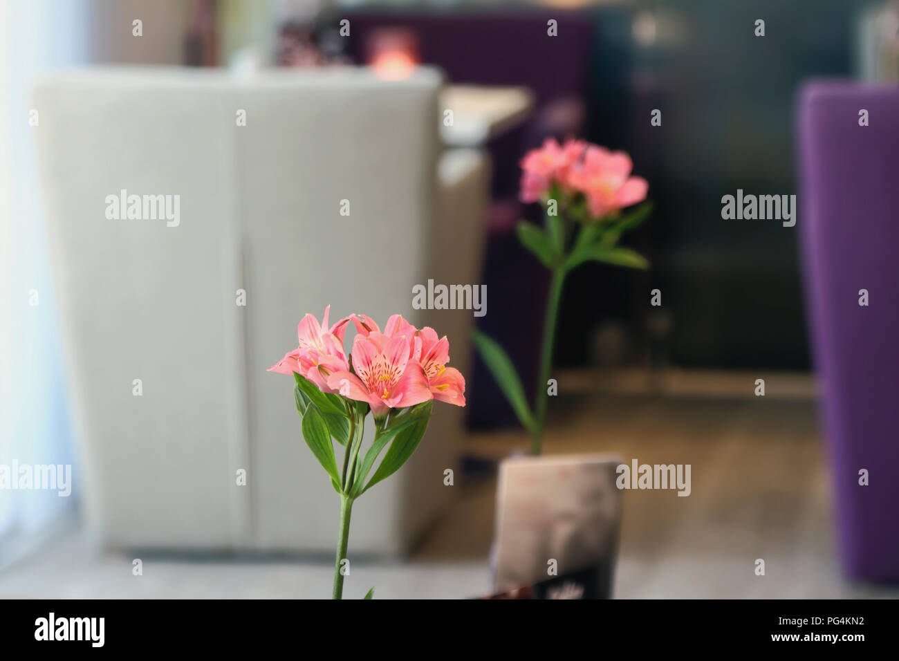 Rosa Blüten - Dekor element Stockfoto