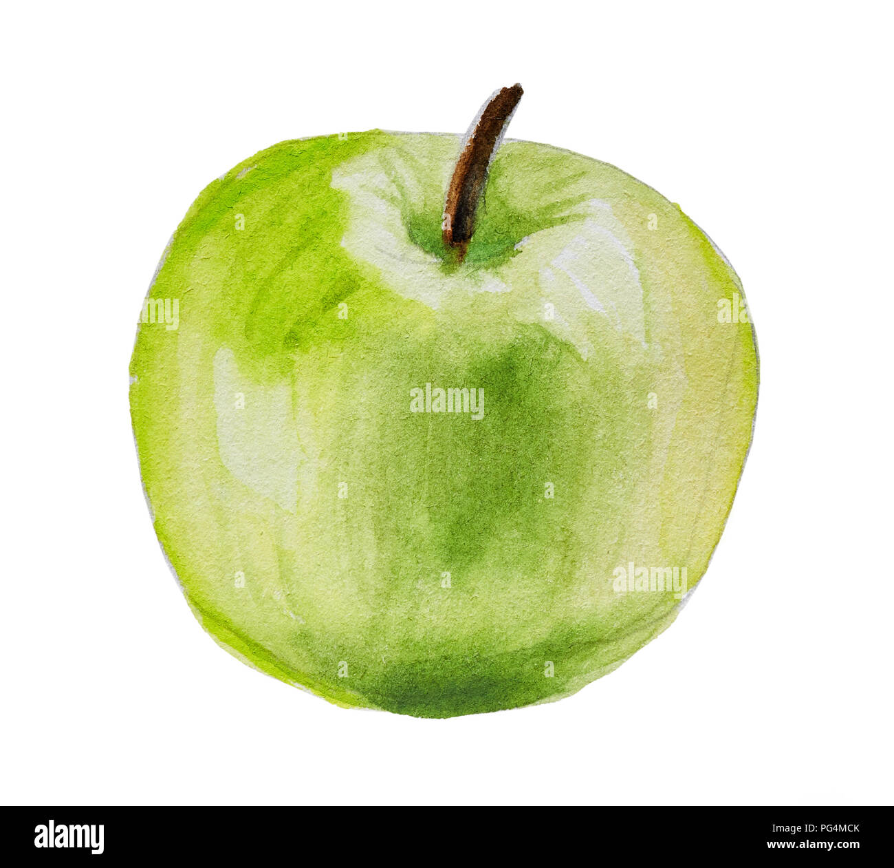 Hand green apple auf weißem Hintergrund gezeichnet, Aquarell Abbildung Stockfoto