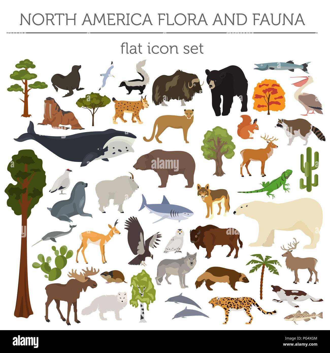 Nordamerika Flora und Fauna flache Elemente. Tiere, Vögel und Sea Life big eingestellt. Ihre Geographie Infografiken Sammlung aufzubauen. Vector Illustration Stock Vektor