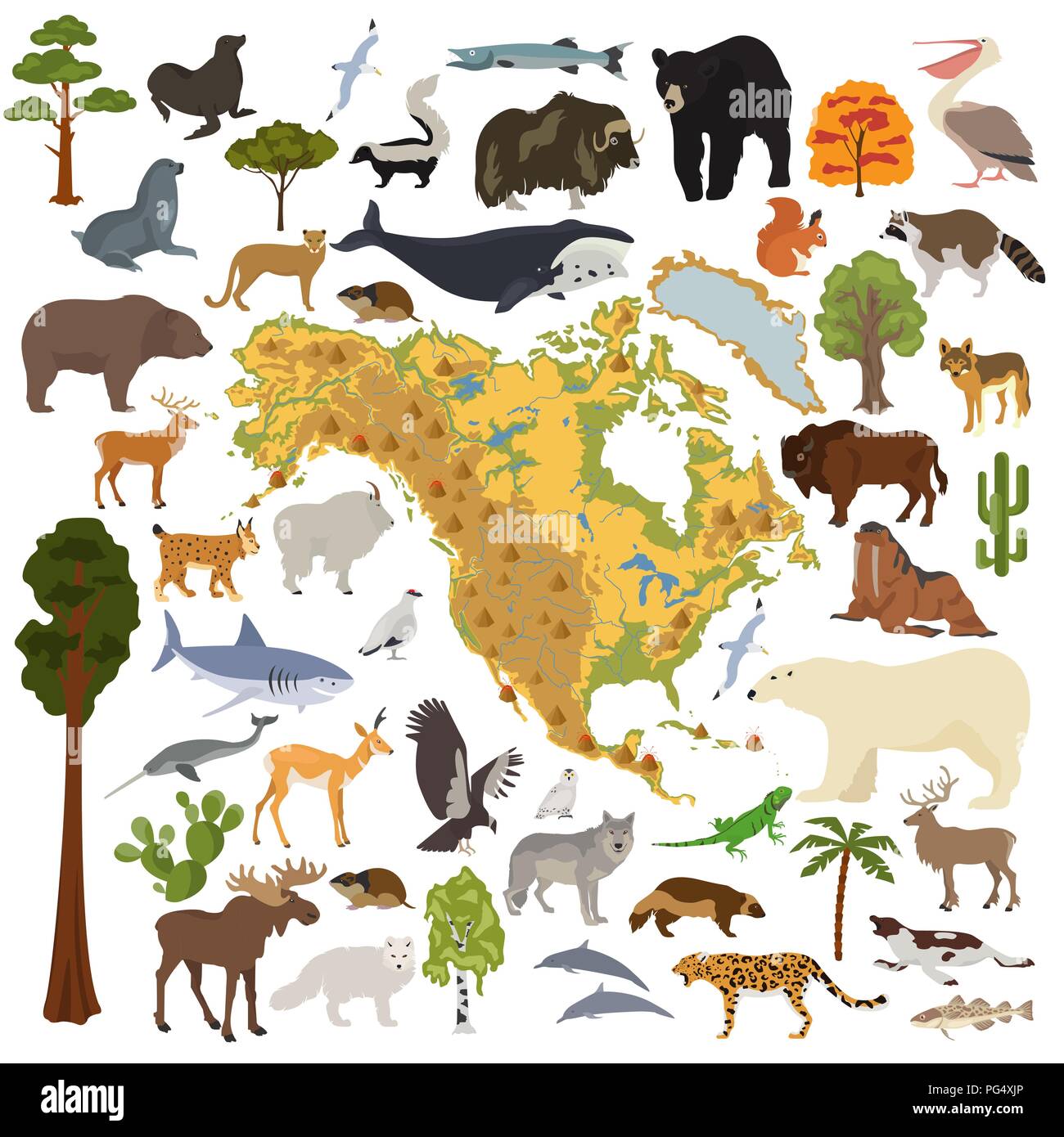 Nordamerika Flora und Fauna Karte, flache Elemente. Tiere, Vögel und Sea Life big eingestellt. Ihre Geographie Infografiken Sammlung aufzubauen. Vektor illustrati Stock Vektor