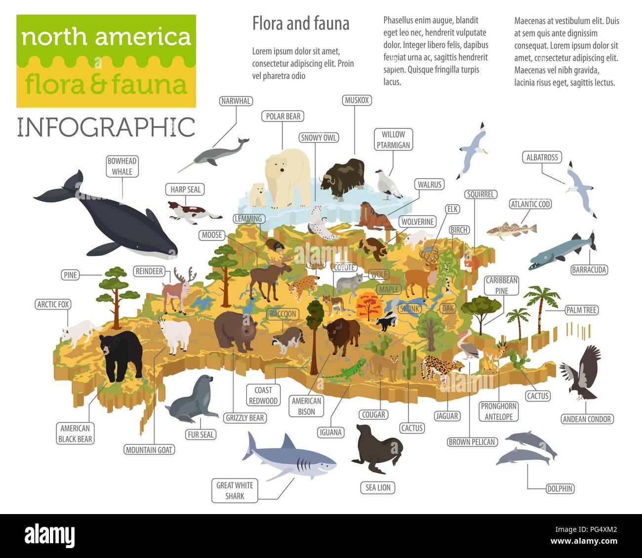 Isometrische 3d-Nordamerika Flora und Fauna Karte Elemente. Tiere, Vögel und Sea Life. Ihre eigene Geographie Infografiken Sammlung aufzubauen. Vektor illustr Stock Vektor