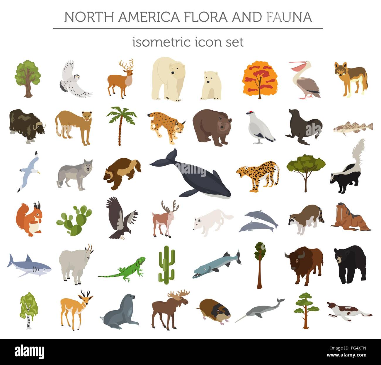 Isometrische 3d-Nordamerika Flora und Fauna Elemente. Tiere, Vögel und Sea Life. Ihre eigene Geographie Infografiken Sammlung aufzubauen. Vektor illustratio Stock Vektor