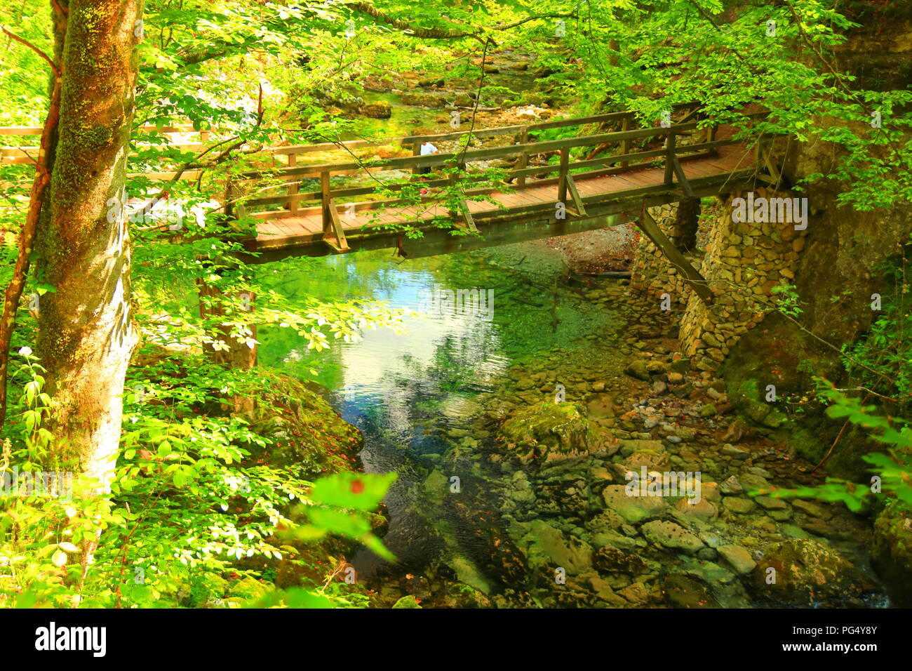 Holzbrücke über den Fluss Kamacnik, Kroatien Stockfoto