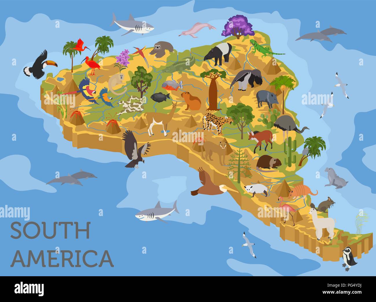 Isometrische 3d-Südamerika Flora und Fauna Karte Elemente. Tiere, Vögel und Sea Life. Ihre eigene Geographie Infografiken Sammlung aufzubauen. Vektor illustr Stock Vektor