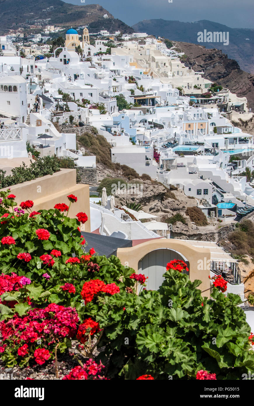Blick auf Santorin Oia mit Blumen vorne Stockfoto