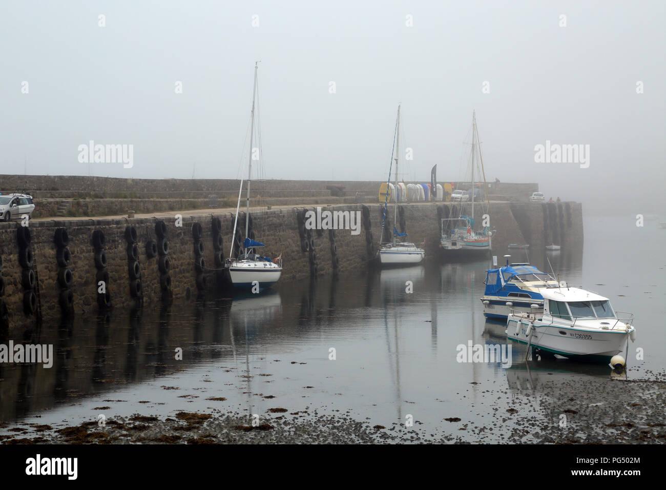 Nebel und Ebbe in der Marina am Quai Charles de Gaulle, Roscoff, Finistere, Bretagne, Frankreich Stockfoto