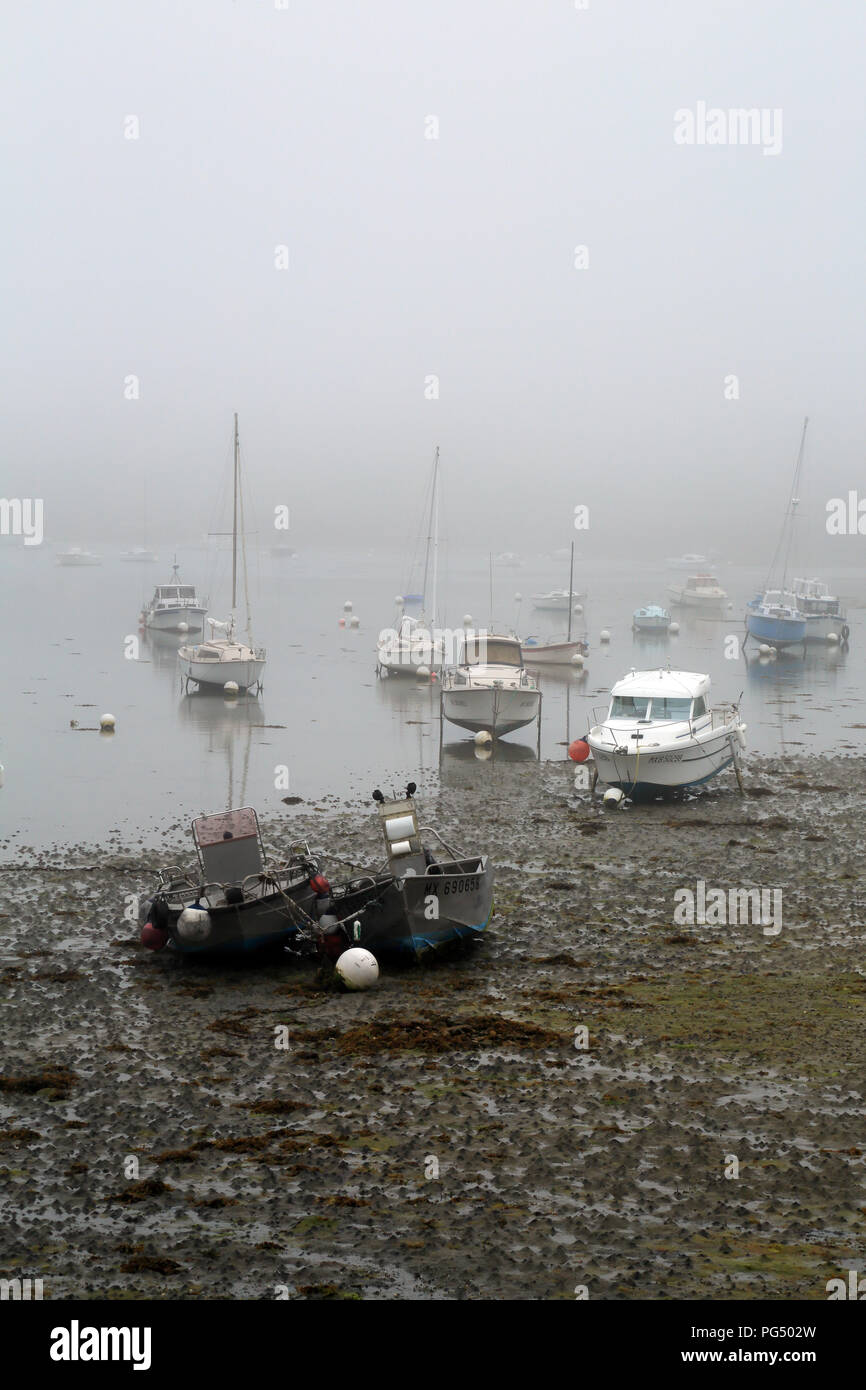 Nebel und Ebbe in der Marina am Quai Charles de Gaulle, Roscoff, Finistere, Bretagne, Frankreich Stockfoto
