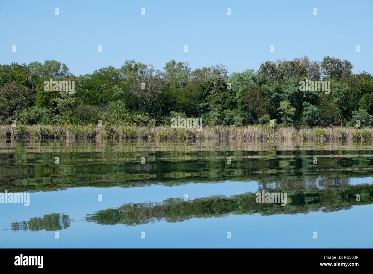 Australien, Westaustralien, Kimberley Küste, zwischen Wyndham und Kununurra, Ord River. Riverbank Reflexionen von sumpfgebietlebensraum entlang der Ord River. Stockfoto