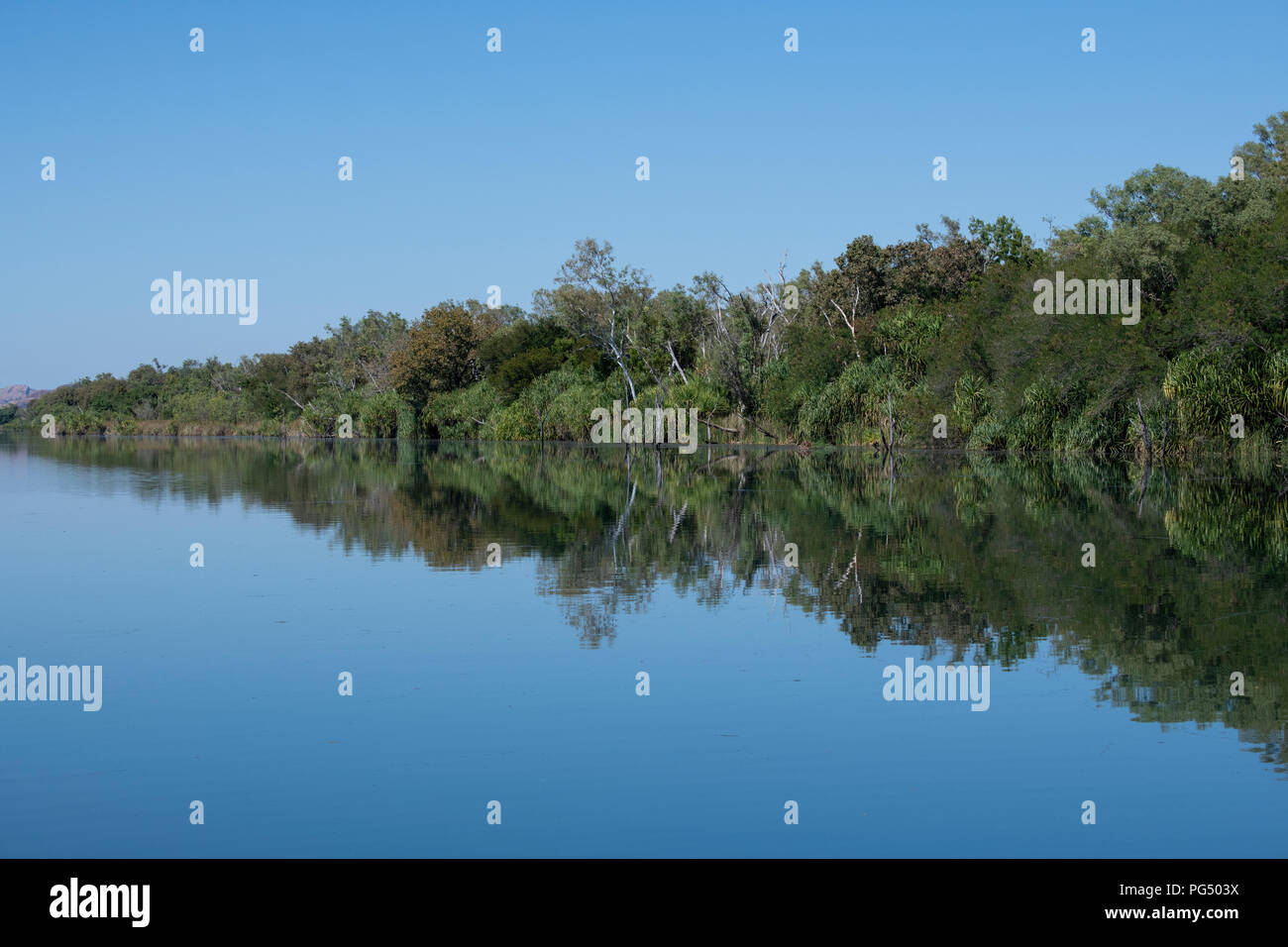 Australien, Westaustralien, Kimberley Küste, zwischen Wyndham und Kununurra, Ord River. Riverbank Reflexionen von sumpfgebietlebensraum entlang der Ord River. Stockfoto