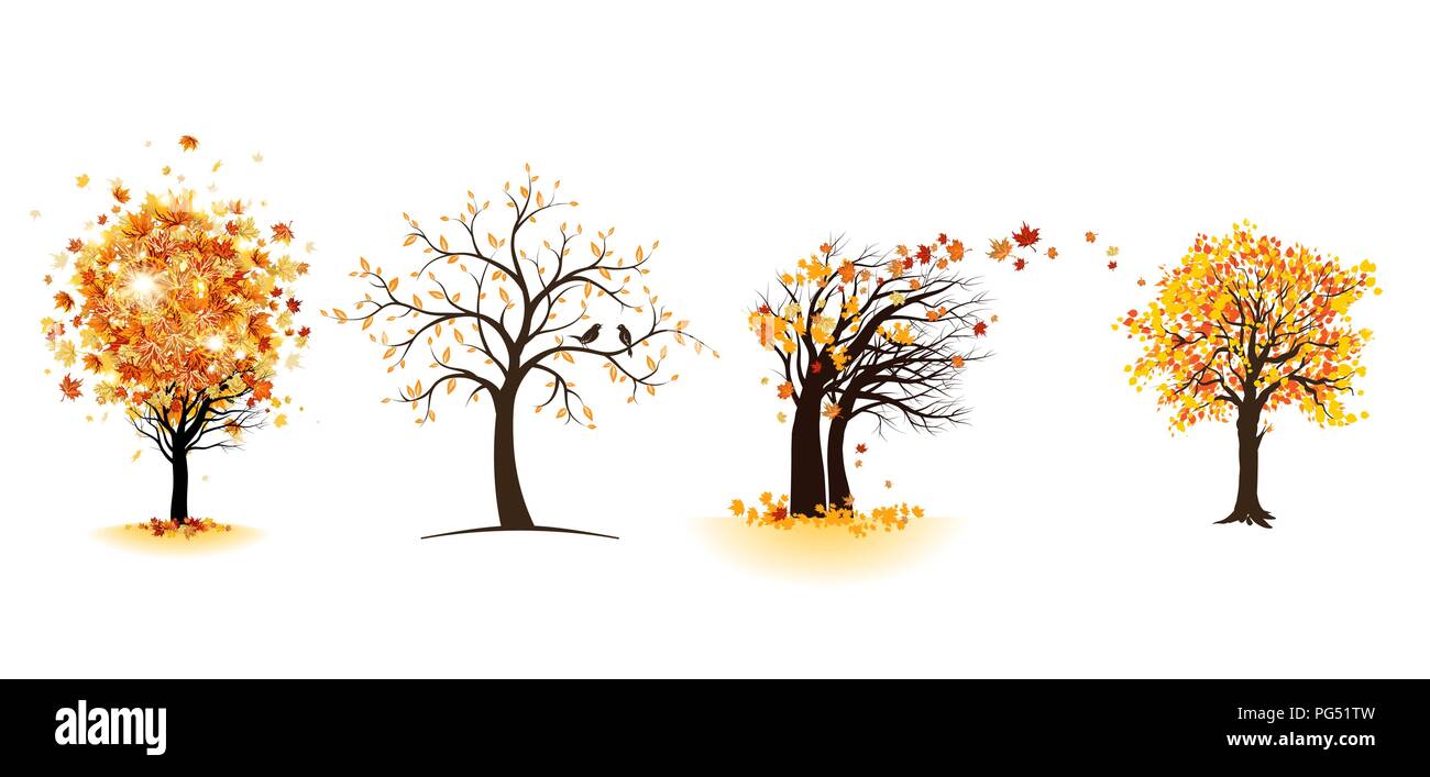 Herbst Ahorn Bäume eingestellt Stock Vektor