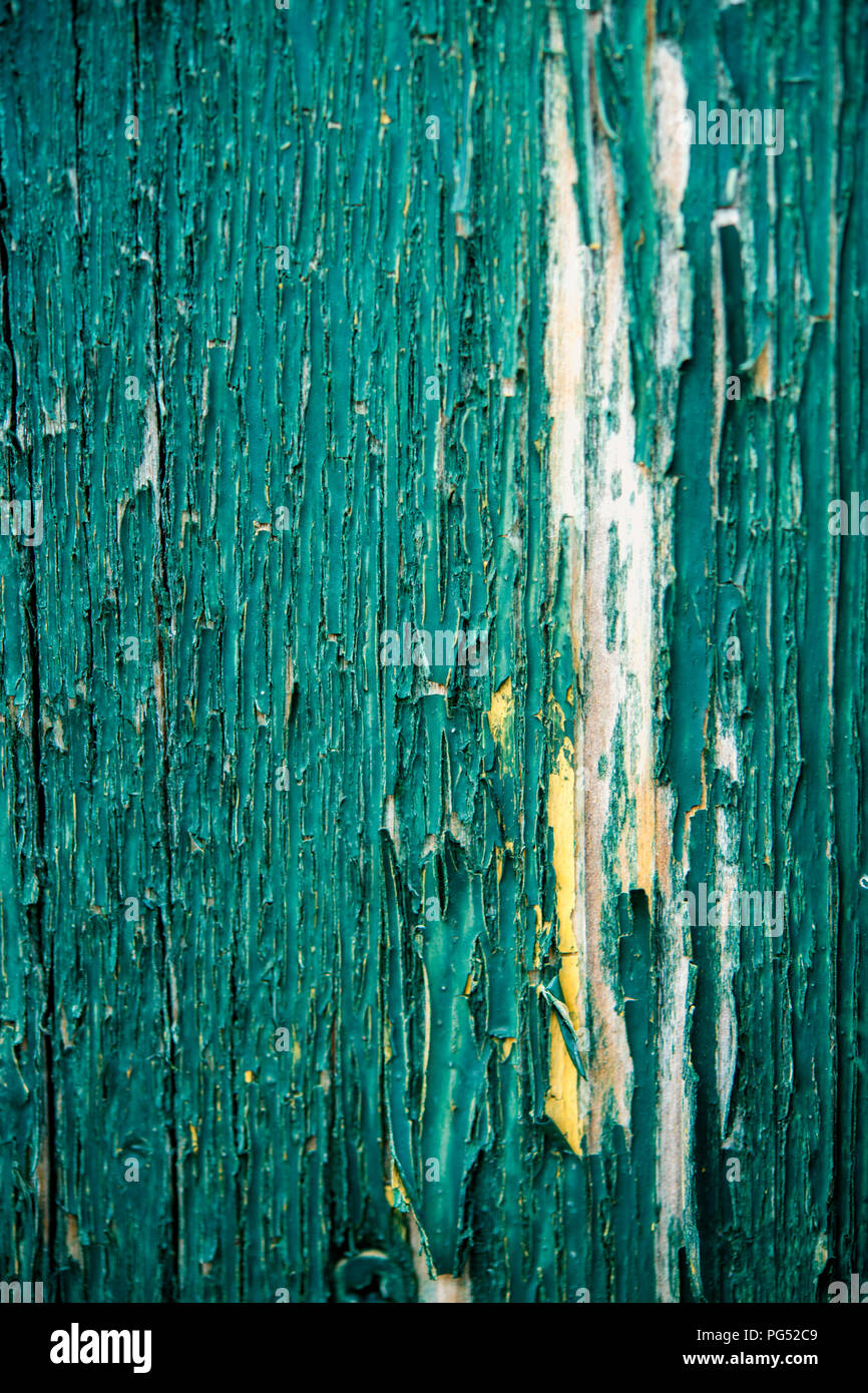 Detail der gerissenen und Peeling grüne Farbe auf einer alten hölzernen Zaun Stockfoto