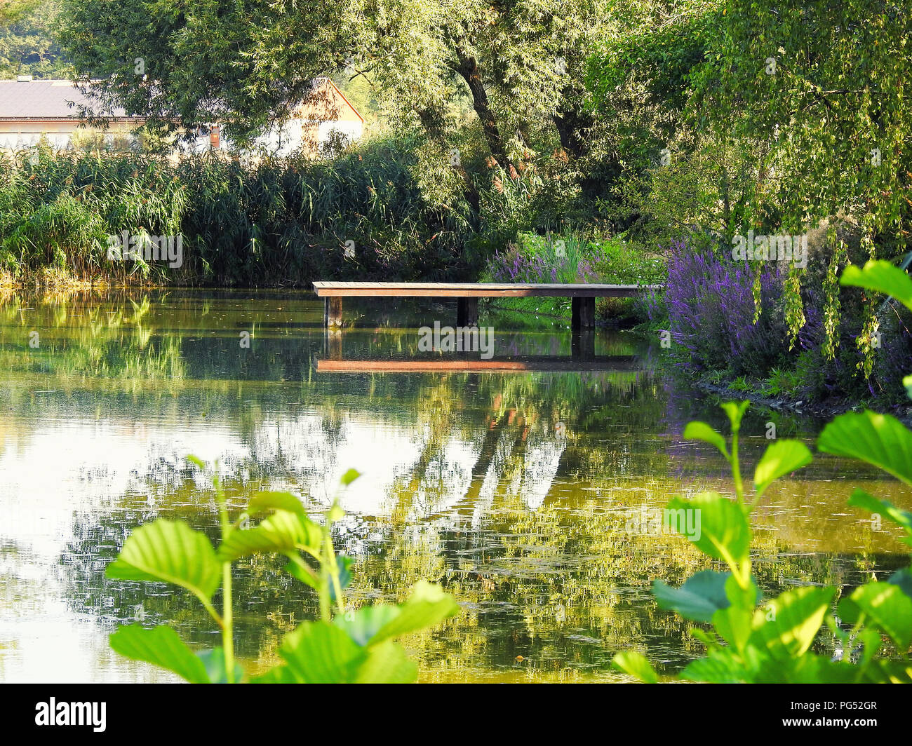 Ländliche kleinen Teich Stockfoto