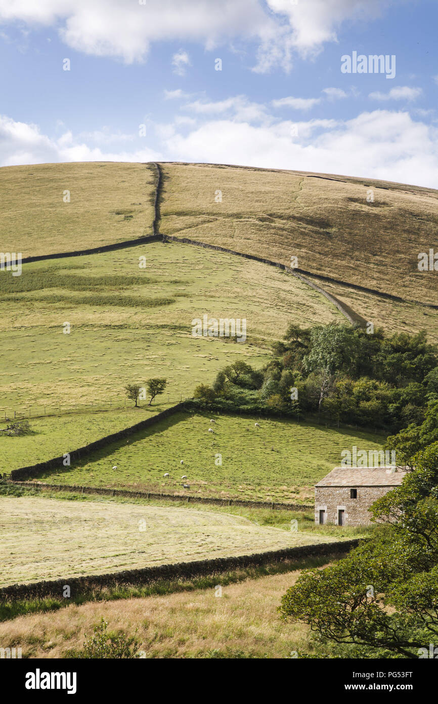 Ländliche England Szene mit Feldern von Trockenmauern getrennt und ein Stein Bauernhaus auf einem Hügel im Peak District, ENGLAND Stockfoto